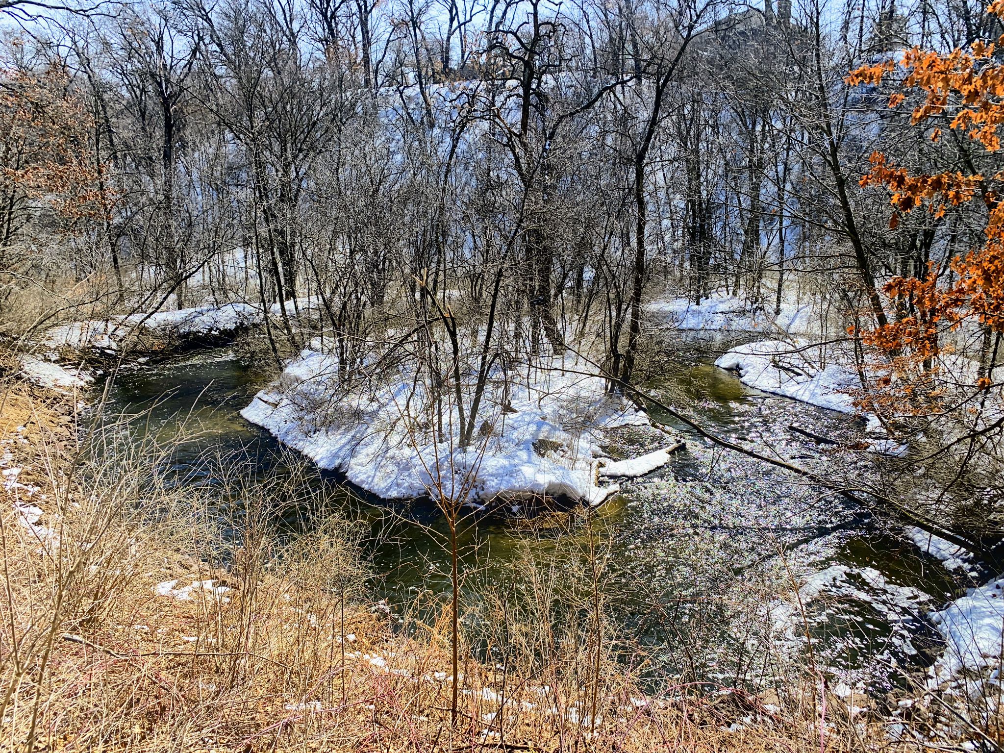 A stream flows through a snowy landscape with bare trees under bright sunlight. - Lower Purgatory Creek Hiking Trail