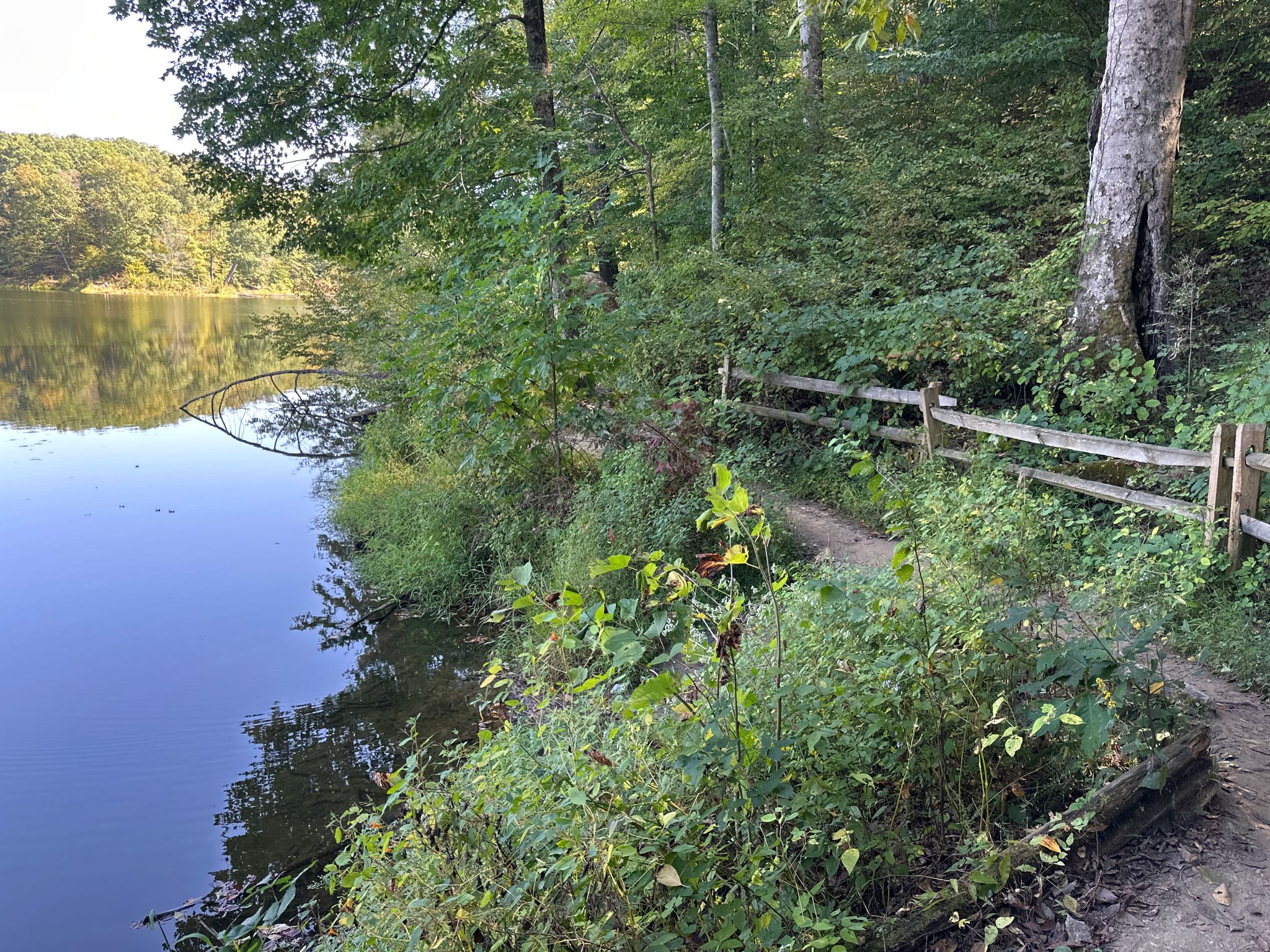 A dirt path with a wooden fence runs alongside a calm lake. - Ogle Lake loop from Brown