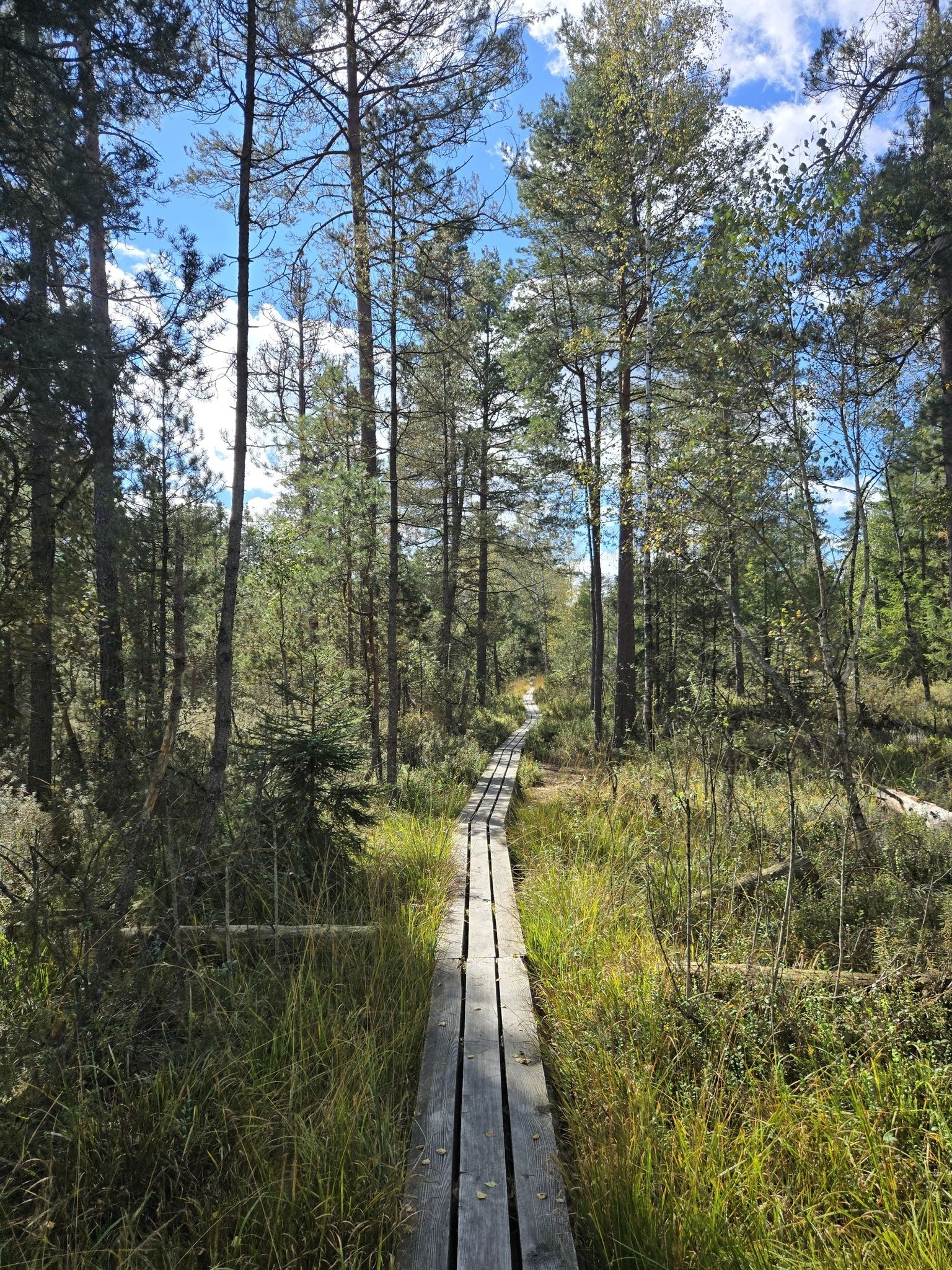 Scheinbar endlose Stege