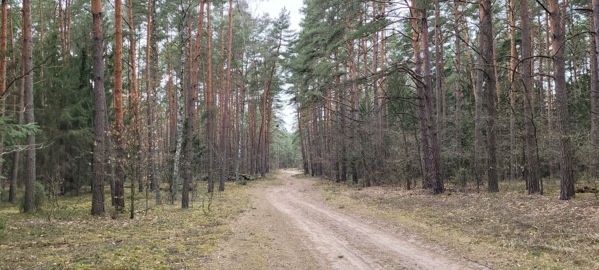 Weg
