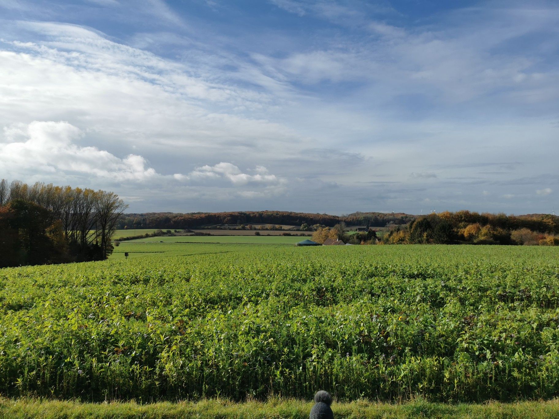 Aussicht von ebendieser Kanzel