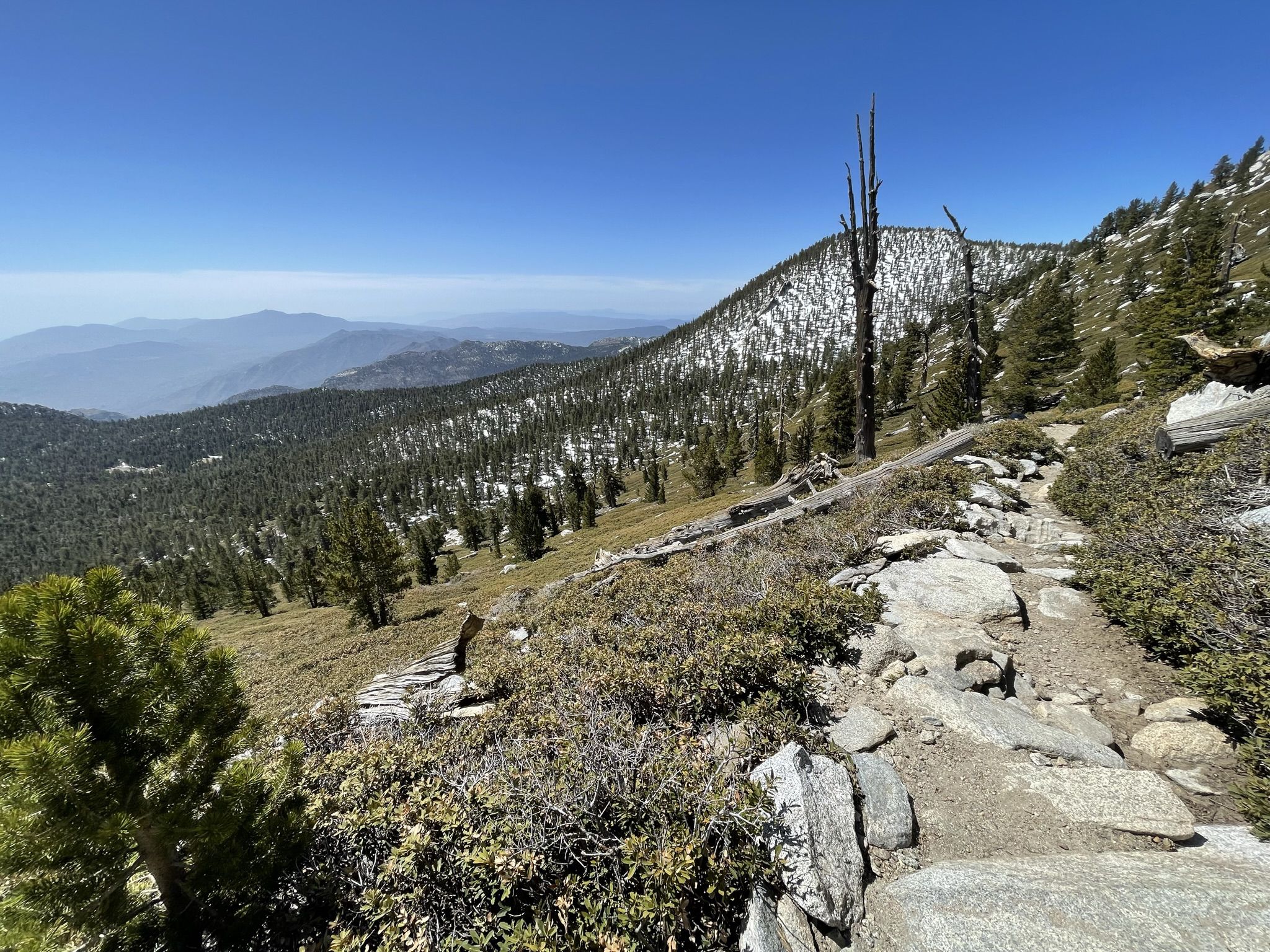 Rocky trail on a sunny, snowy mountain slope with distant forested peaks. - San Jacinto Peak from the Tramway