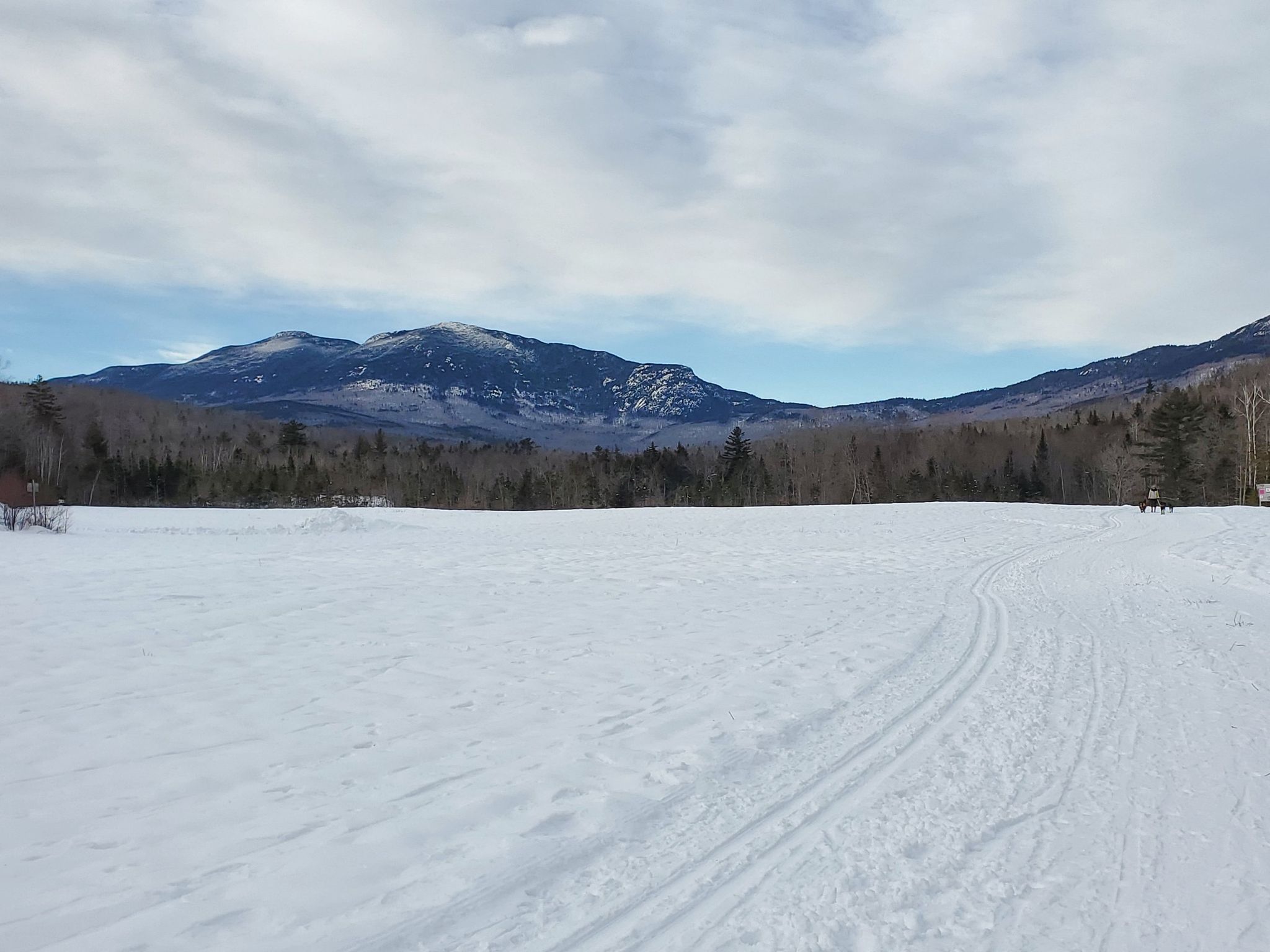 Wide snowy field with ski tracks leading towards distant mountains and forest. - Narrow Gauge Pathway