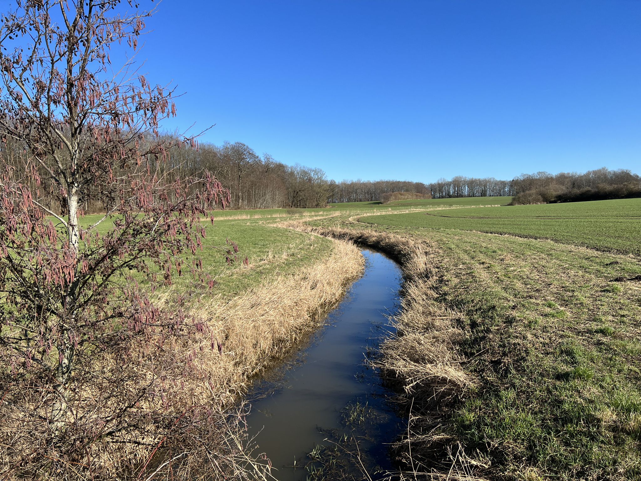 Kassegraben