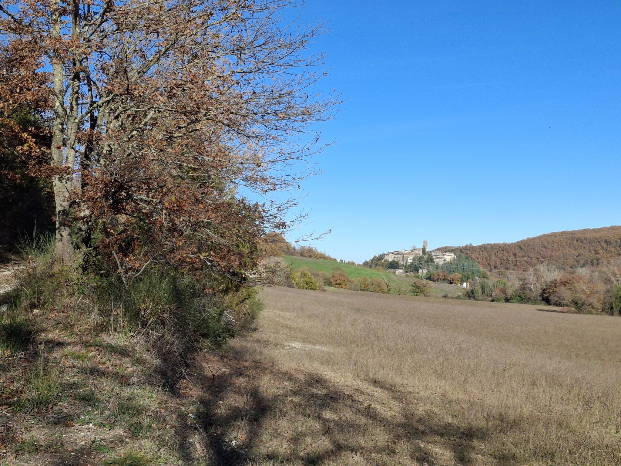 vista su rotecastello