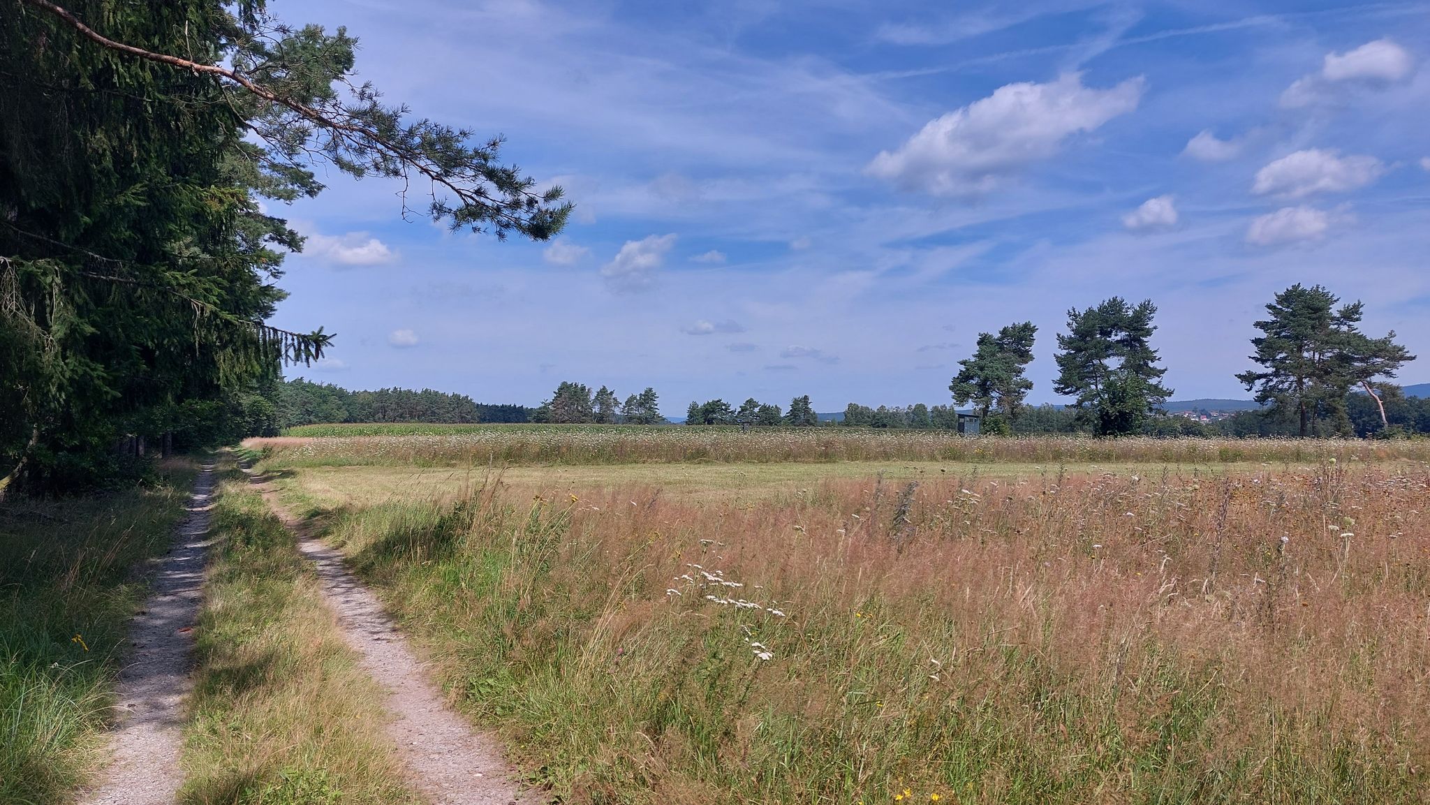 und über`s Feld