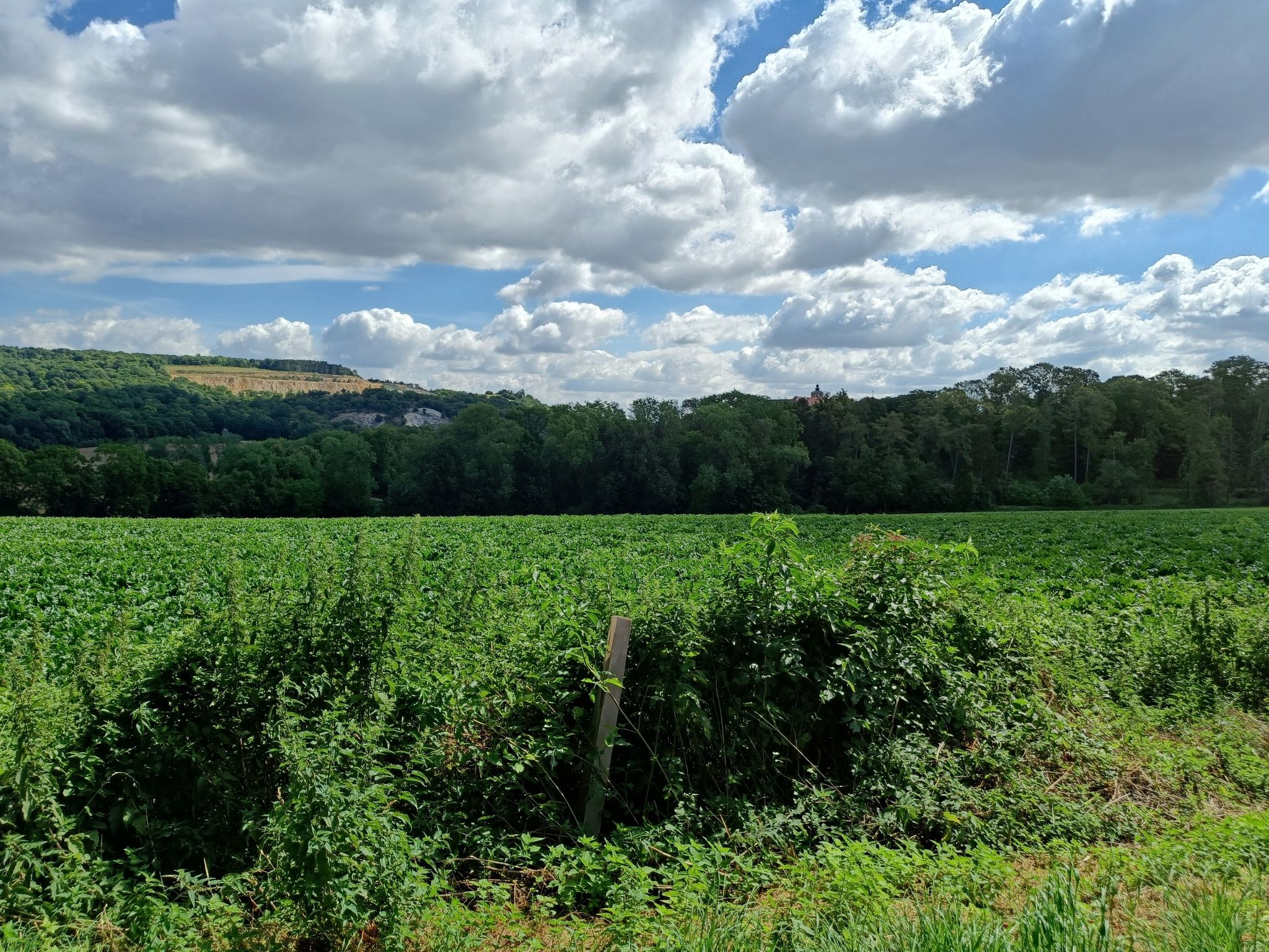 Steinbruch Ernstbrunn