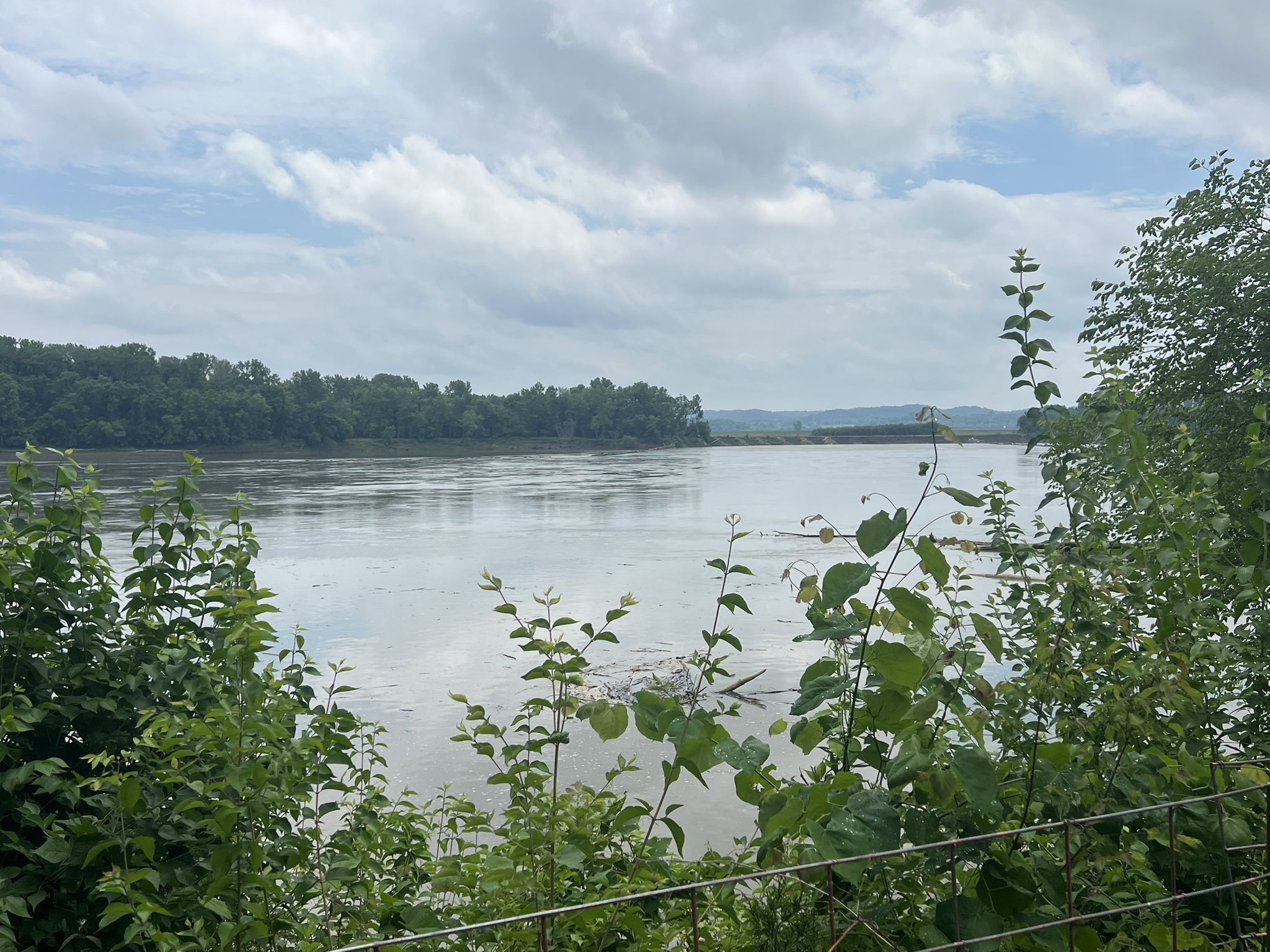 Wide river under a cloudy sky, framed by green trees on both banks. - Katy Trail: Augusta to Defiance