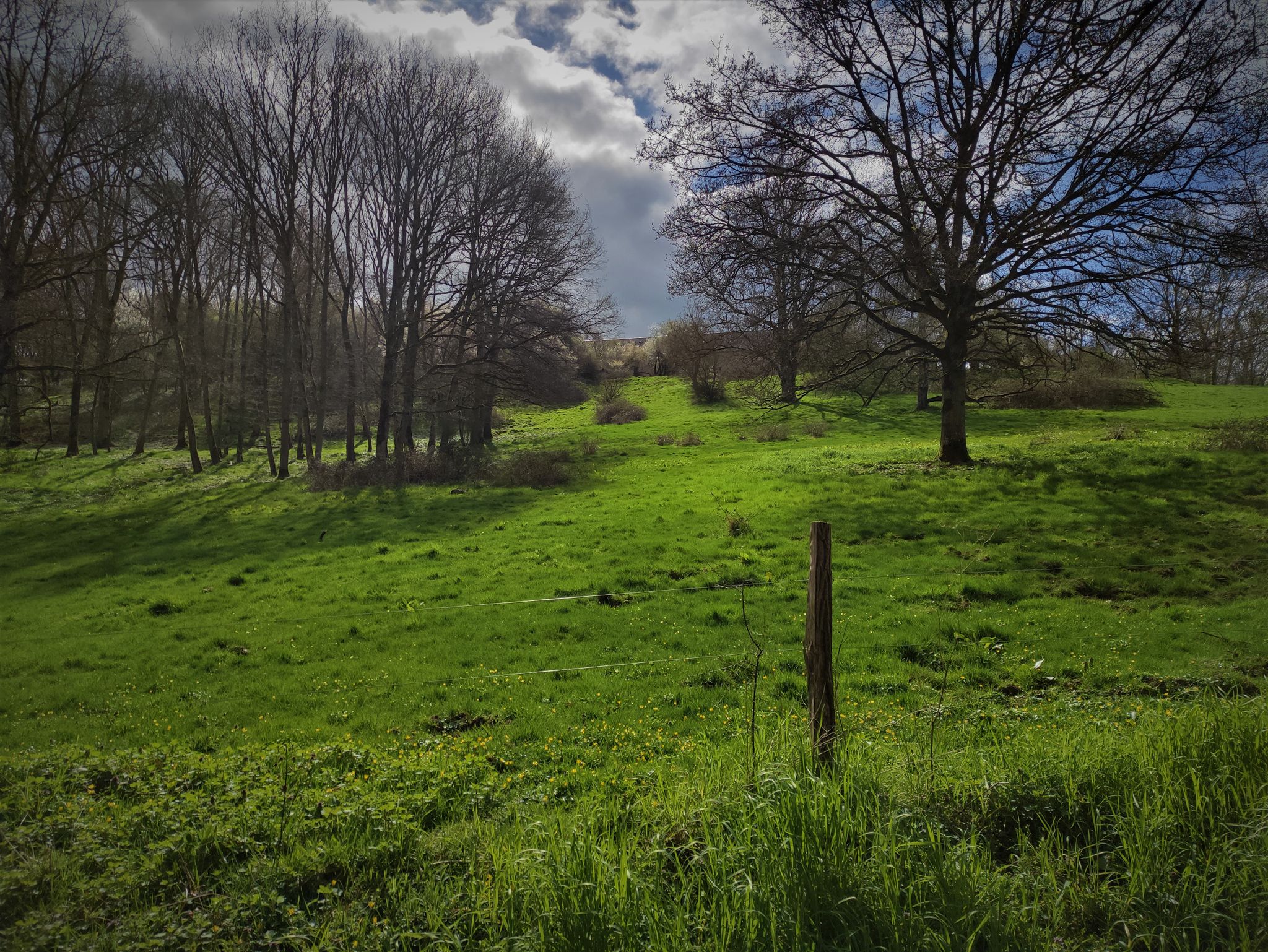 Pour le paysage & les couleurs