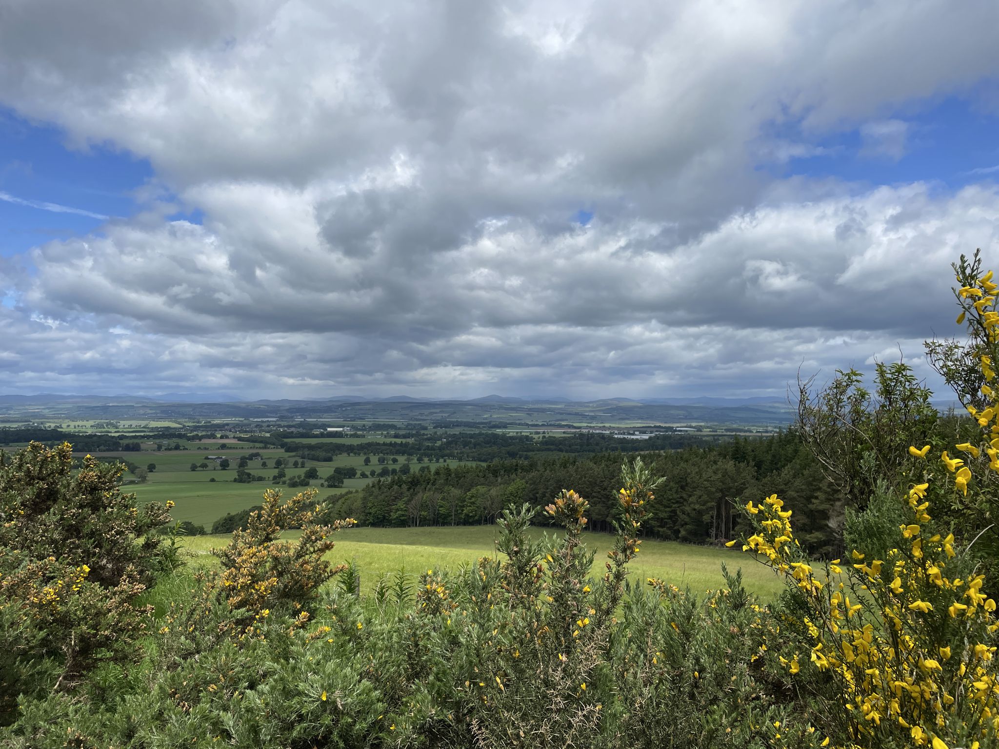 Blick auf Balmoral 