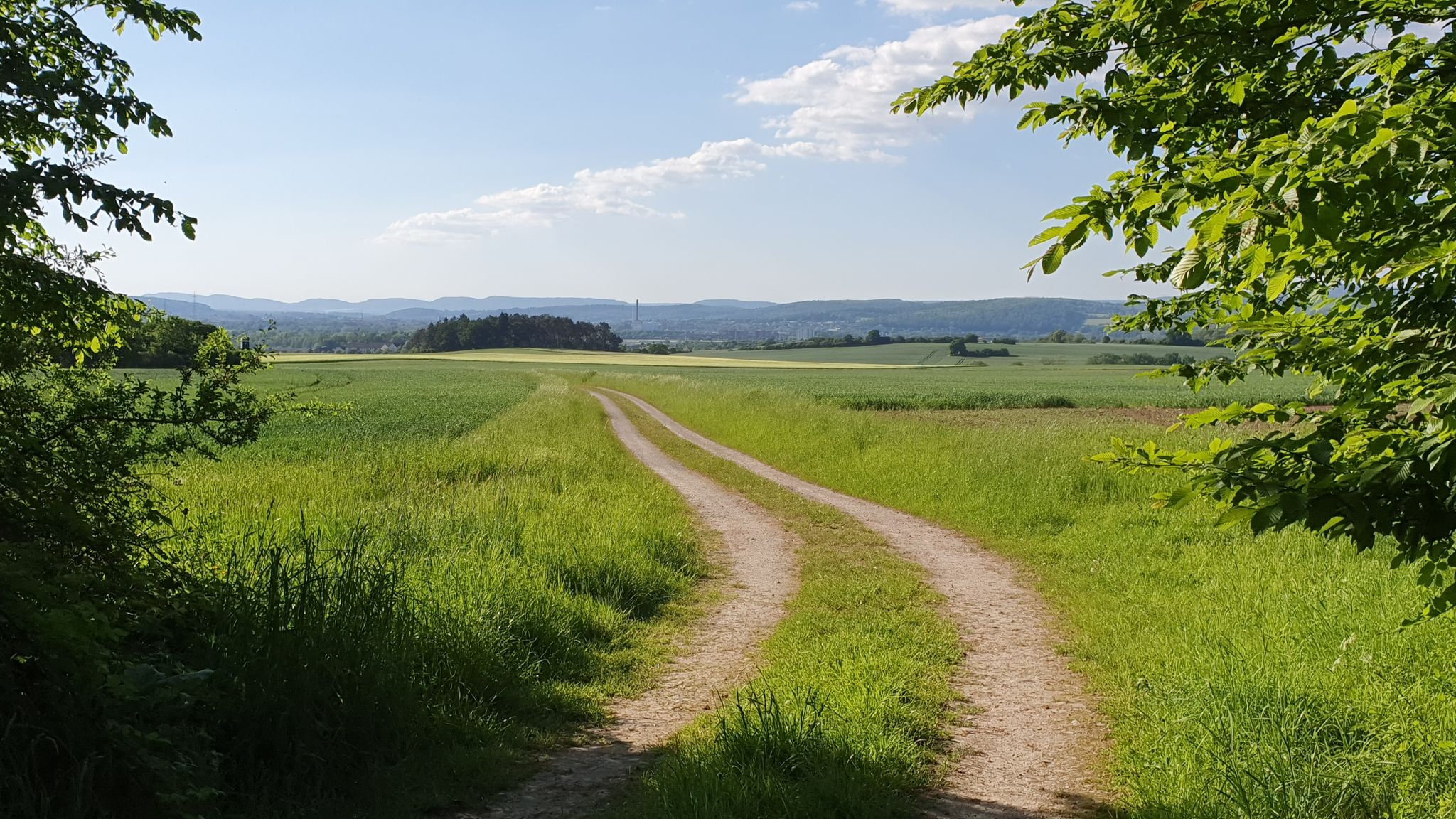 Blick öffnet sich nach Hameln, Afferde, Wesergebirge