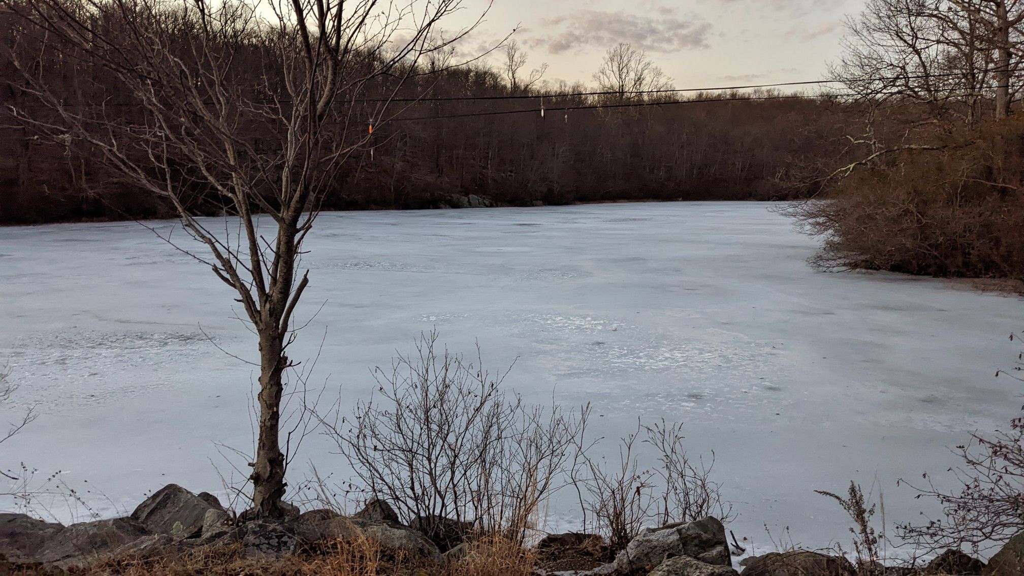 Frozen lake surrounded by bare trees and dry brush under a gray sky. - Wanaque Ridge Trail Loop