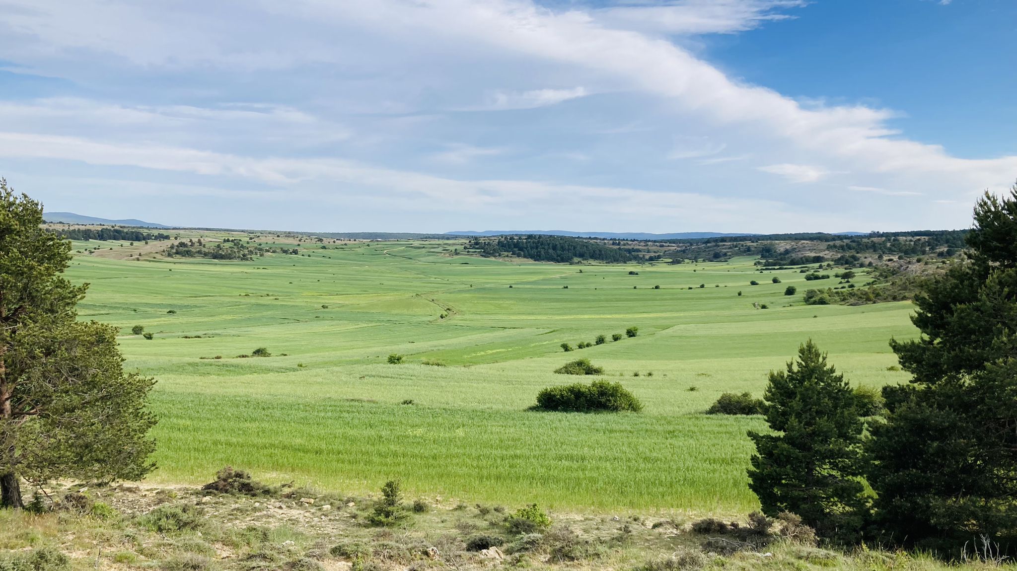 La Hoya