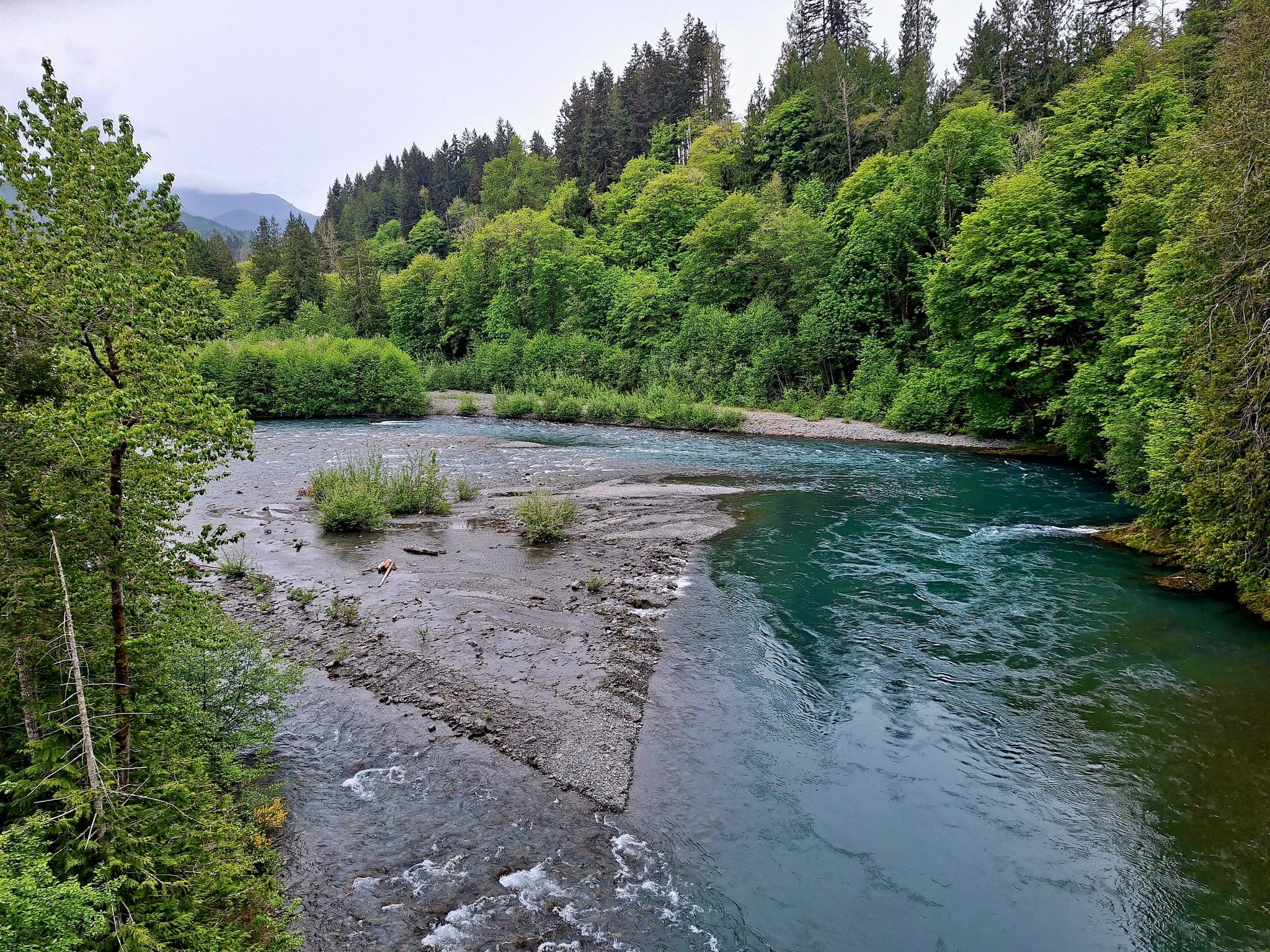 Two rivers merge, surrounded by lush green forests under an overcast sky. - Port Angeles to Lake Crescent
