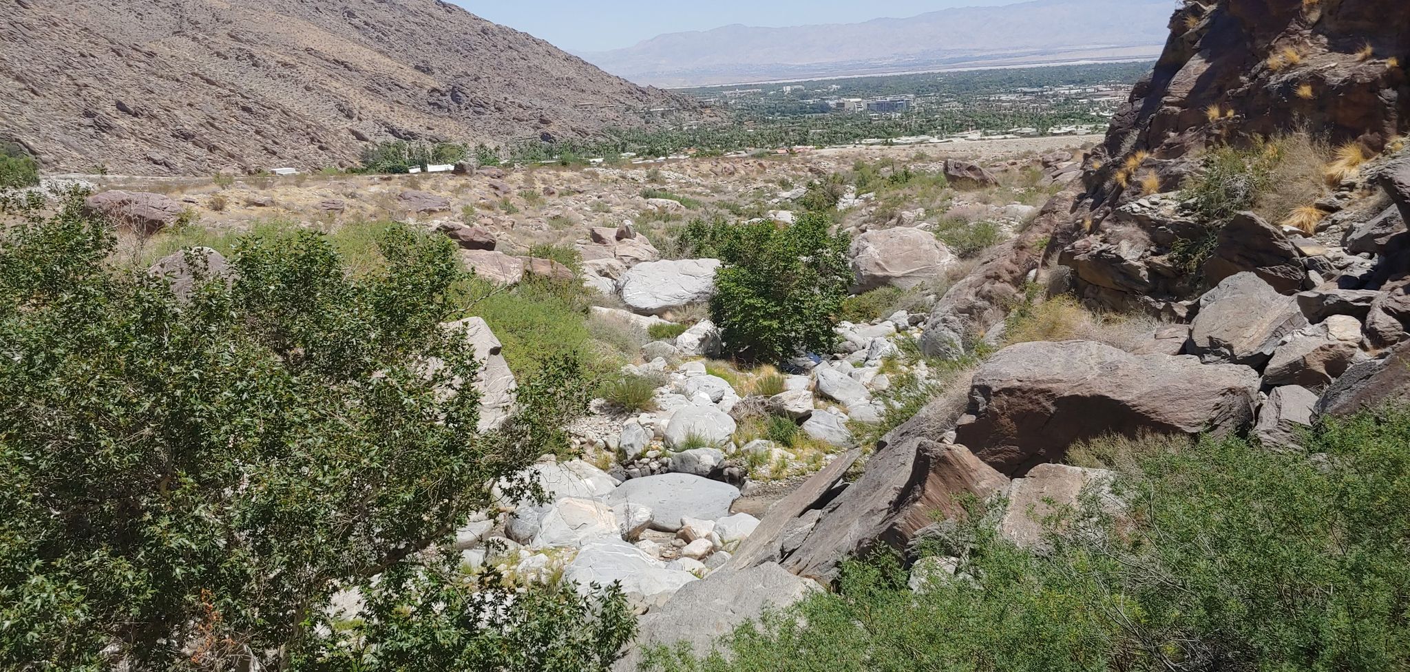 Rocky canyon with a dry stream bed, sparse green bushes, and a distant valley. - Tahquitz Canyon Trail