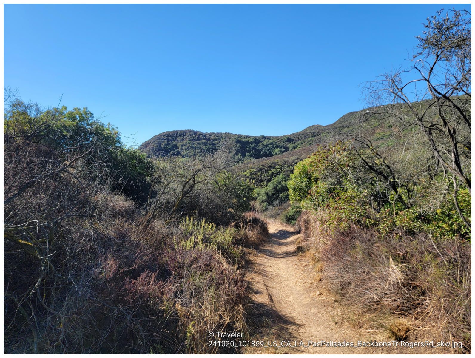 Dirt path winds through dense brush and trees into a green valley. - Backbone Trail and Westridge Fire Road Loop