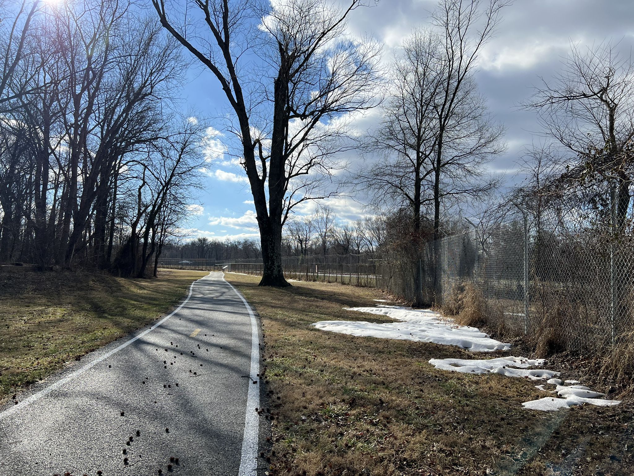 Paved path through bare trees, with patches of snow under a bright sky. - Paint Branch Trail