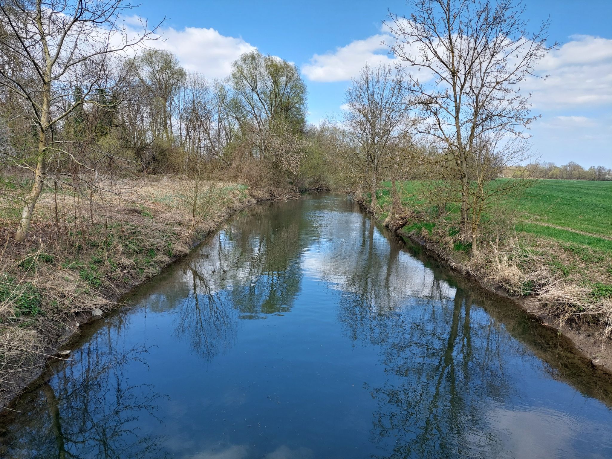 L'Ill bei Sélestat