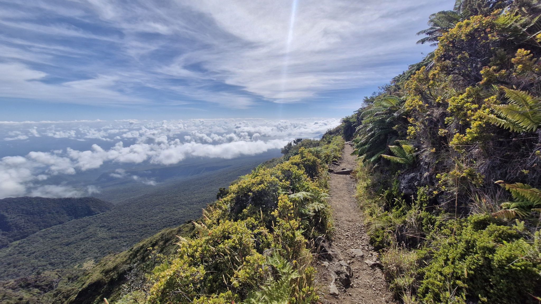 A narrow mountain trail overlooking clouds under a sunny sky. - Halemauʻu Trail
