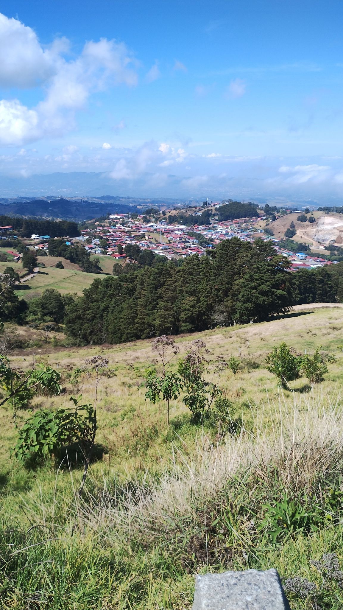 Zarcero 