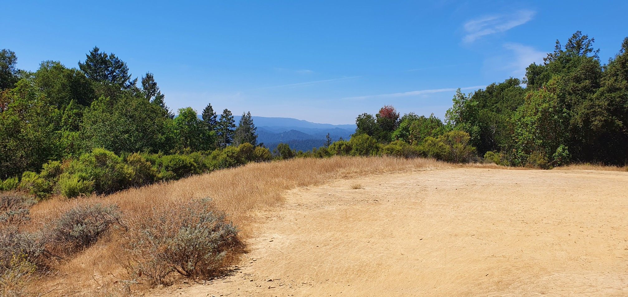 A sunny, dry clearing with green trees and distant mountains under a blue sky. - Hihn's Mill and Ridge Trail Loop