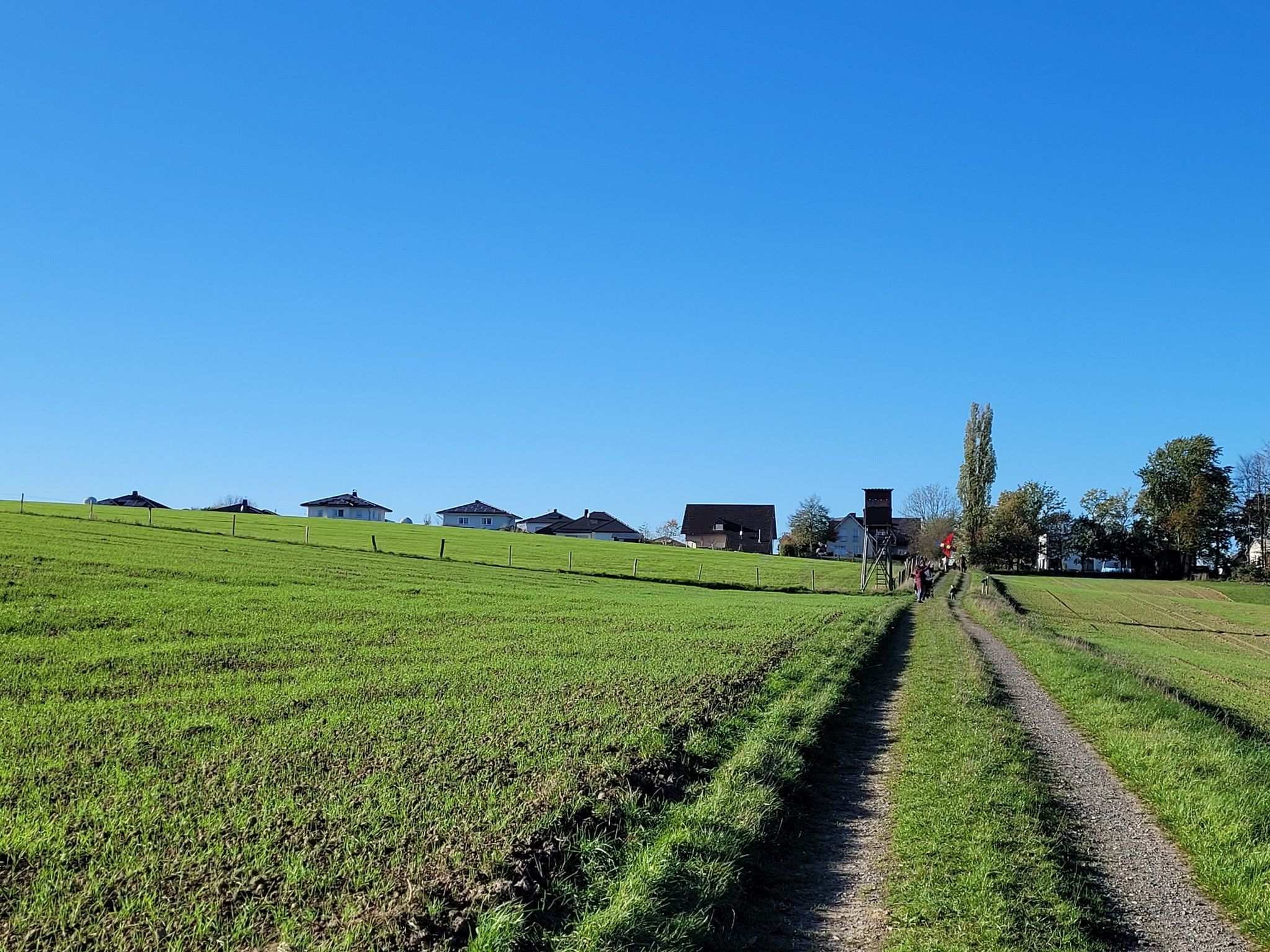 Blick zurück nach Birnbach