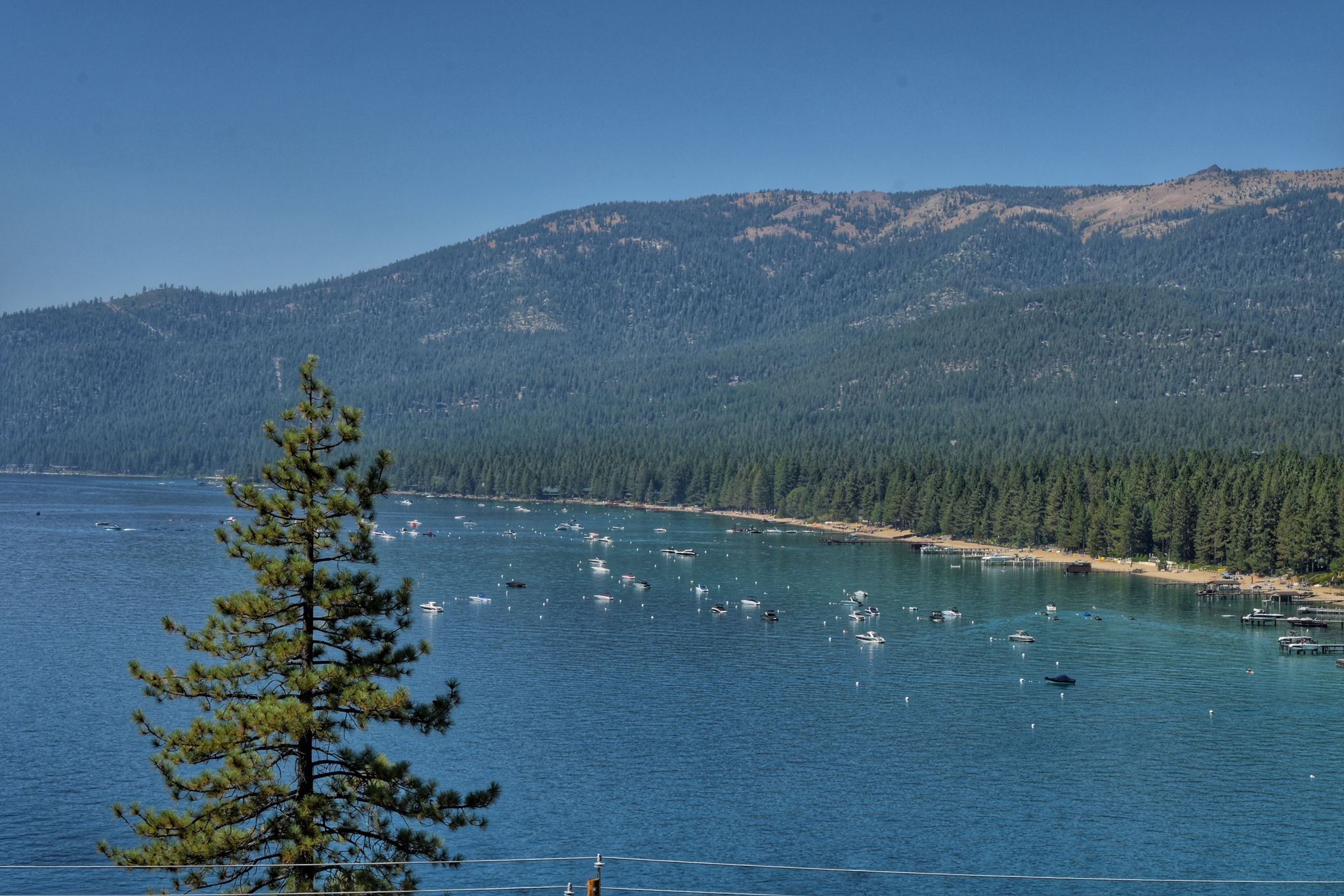 Clear blue lake with many boats, a single pine tree, and forested mountains. - Tunnel Creek Station Café – Hidden Beach, Lake Tahoe loop from Incline Village