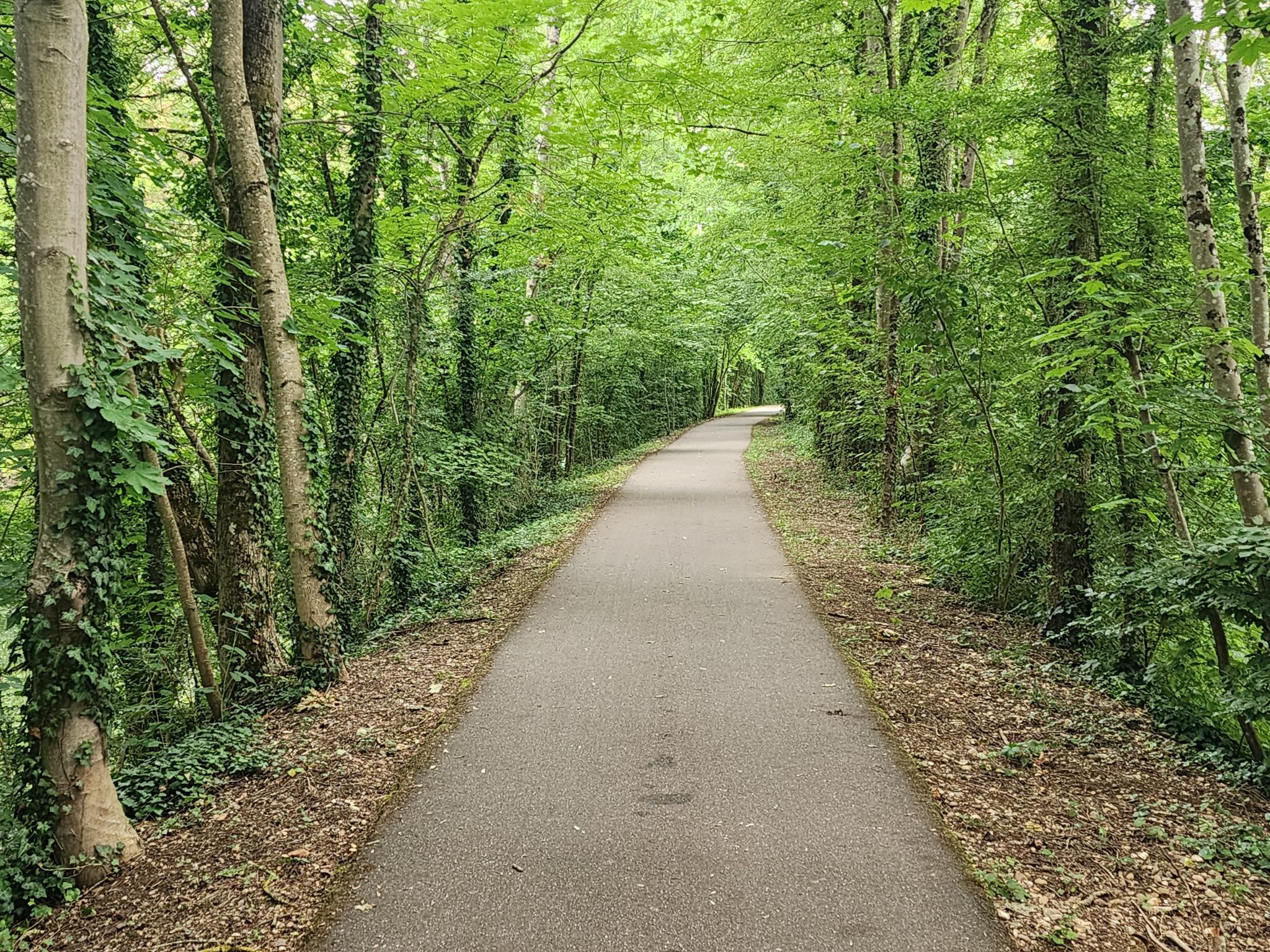 schöner Waldweg bei Arnaville