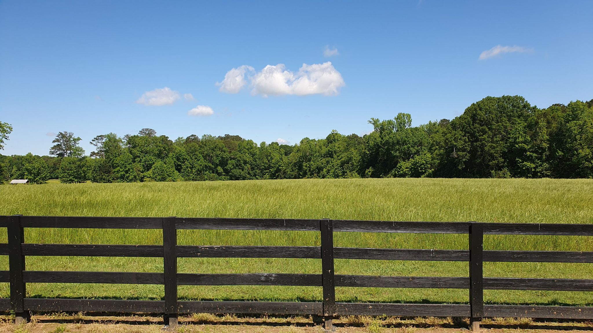 Black wooden fence in front of a vast green field under a clear sky. - Somerby Woods Nature Area – Bridge loop from Somerby Woods Nature Area