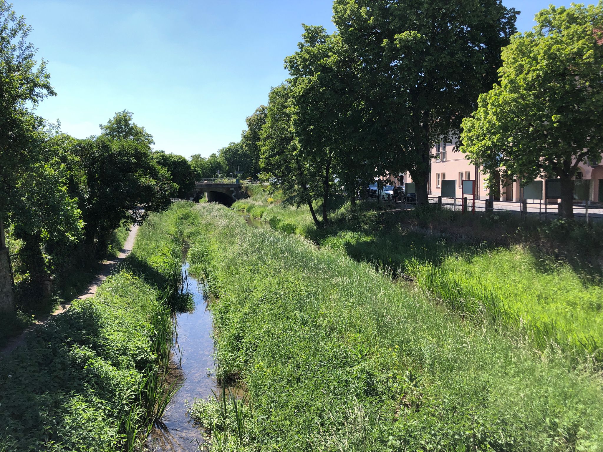 Die Steinach in Schonungen