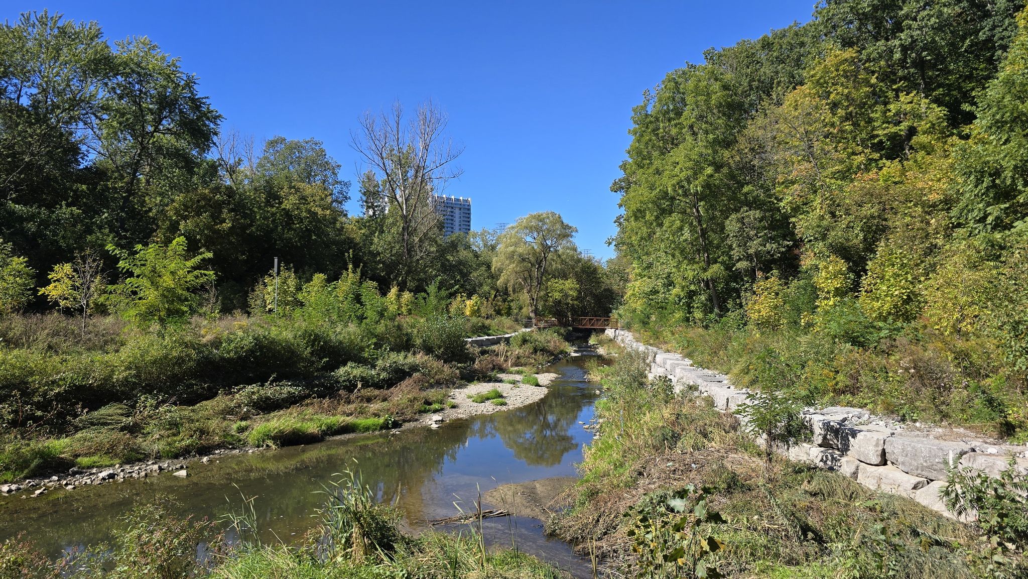 Taylor Massey Creek