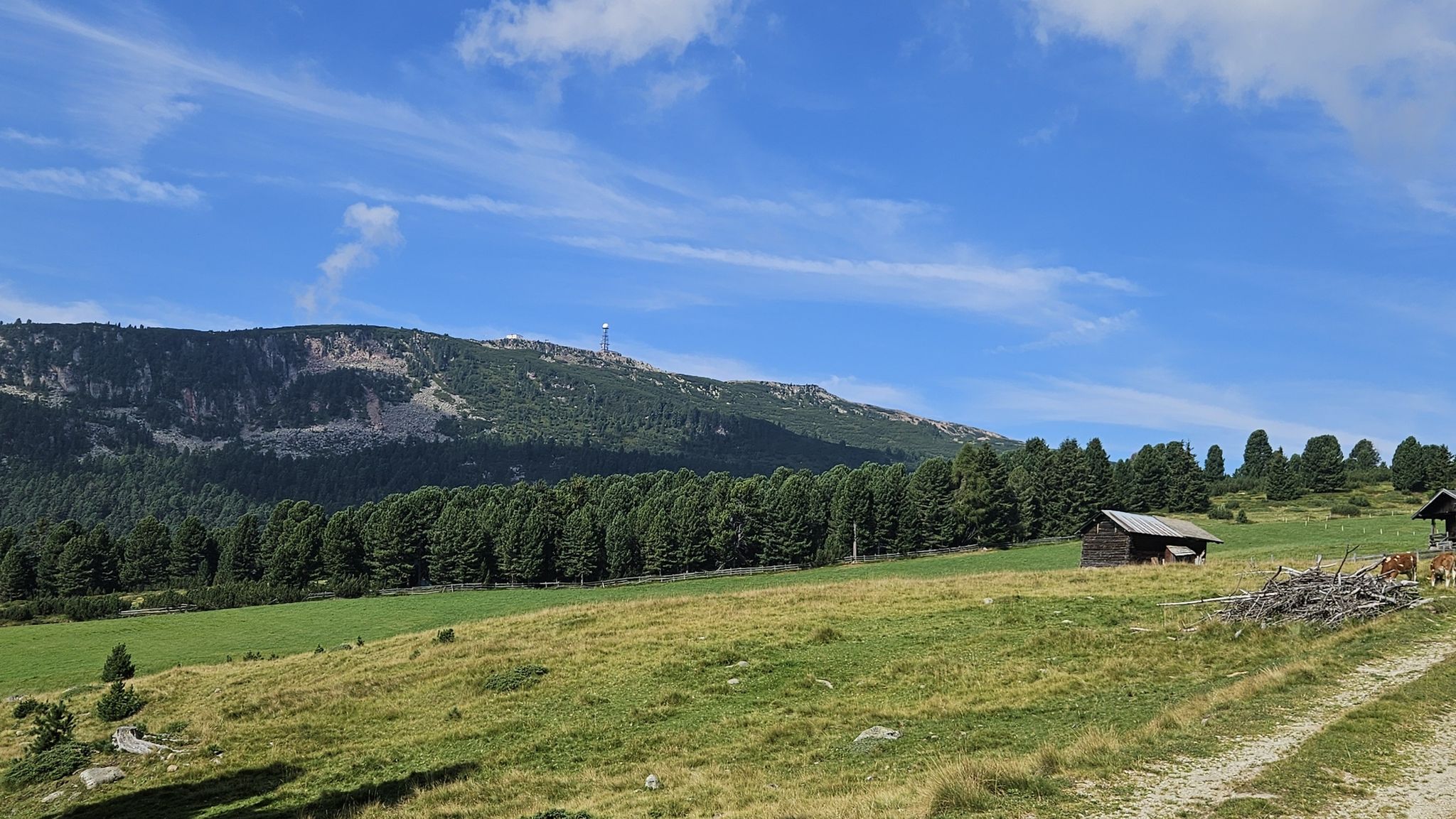Rittner Horn