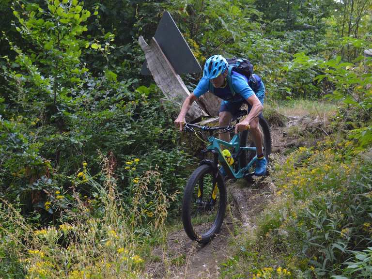 mountainbike für kinder 24 zoll Asha 24