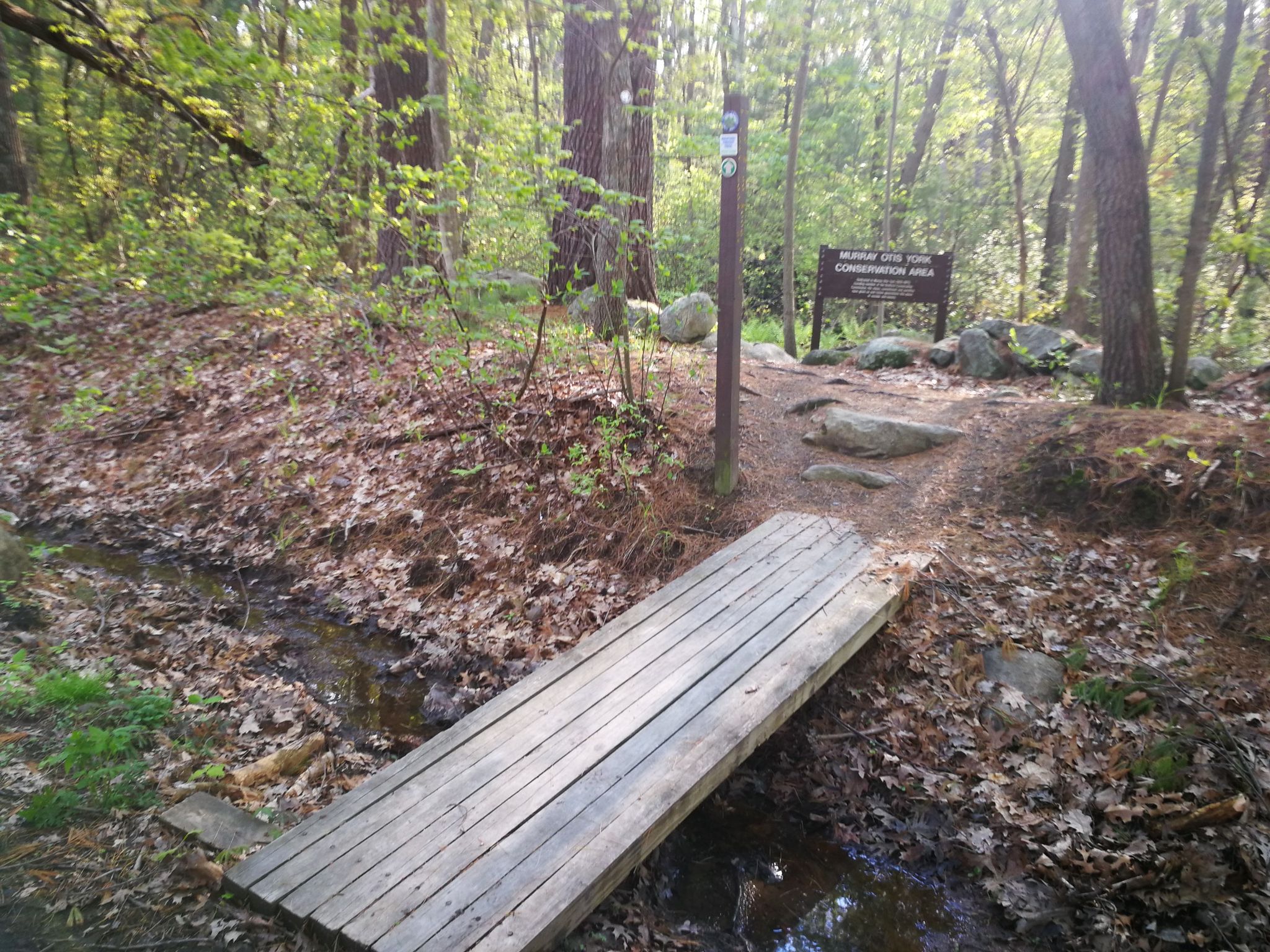 Wooden footbridge over a stream in a sun-dappled forest with a sign. - Fawn Lake Conservation Area – Bay Circuit Trail loop from Fawn Lake