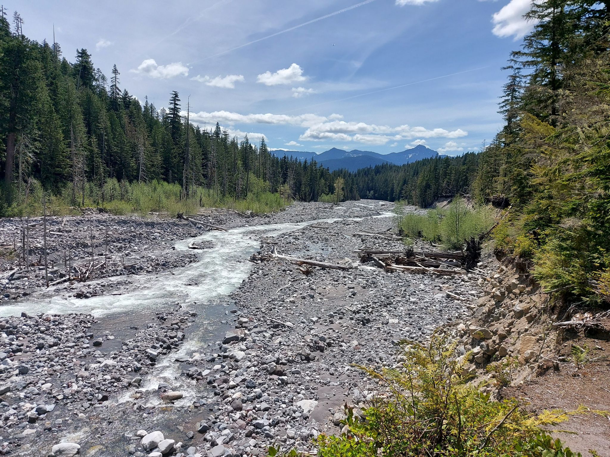 Wide rocky riverbed with flowing water, surrounded by dense green forest. - Longmire Historic District – Carter Falls loop from Longmire
