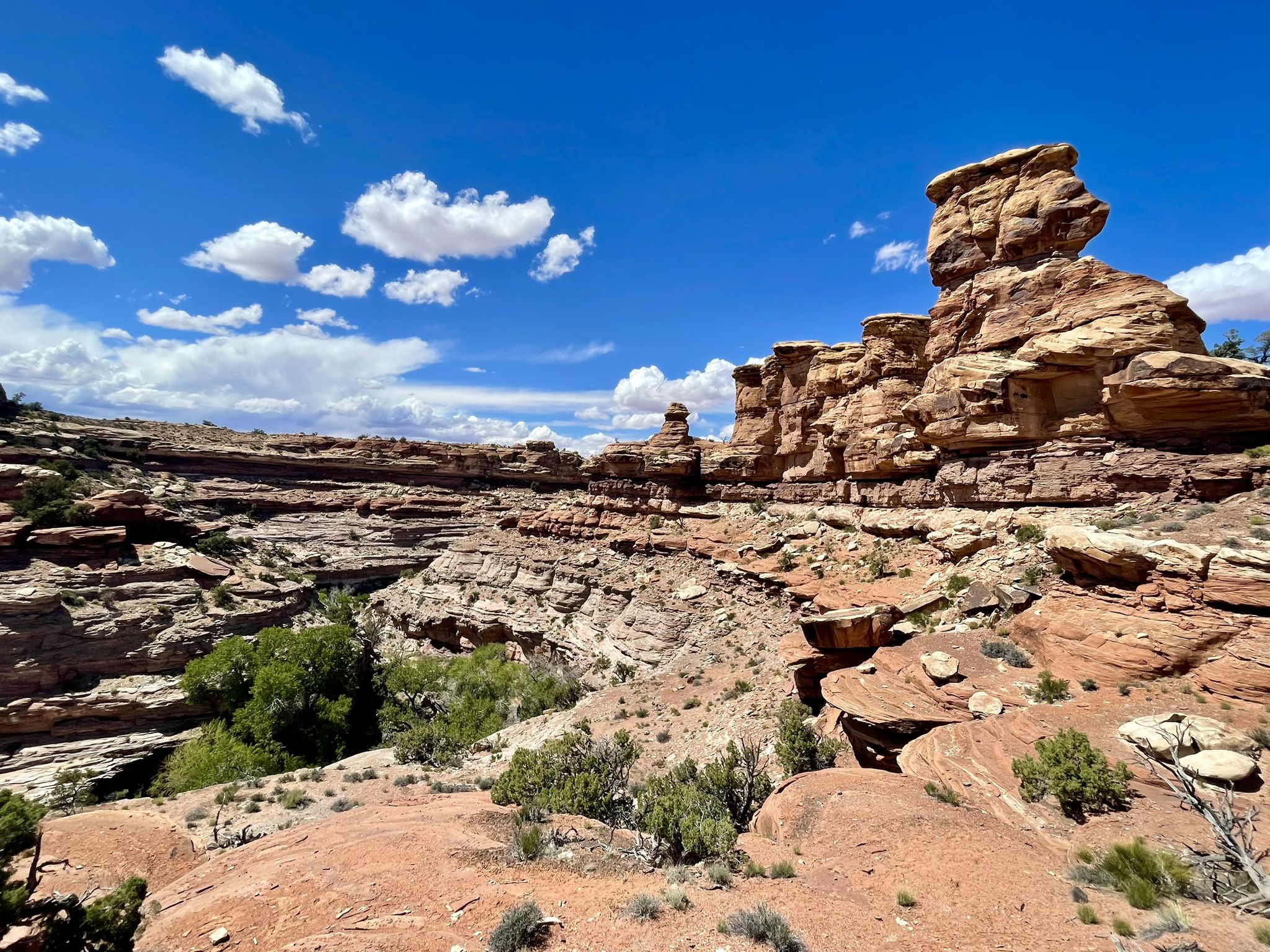 Rocky canyon landscape with layered cliffs under a bright blue sky with clouds. - Confluence Overlook loop from Needles District