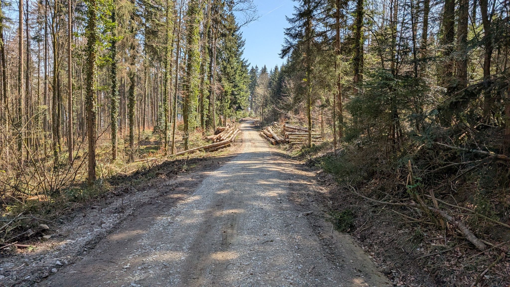 Weg neu geschottert nach Forstarbeiten
