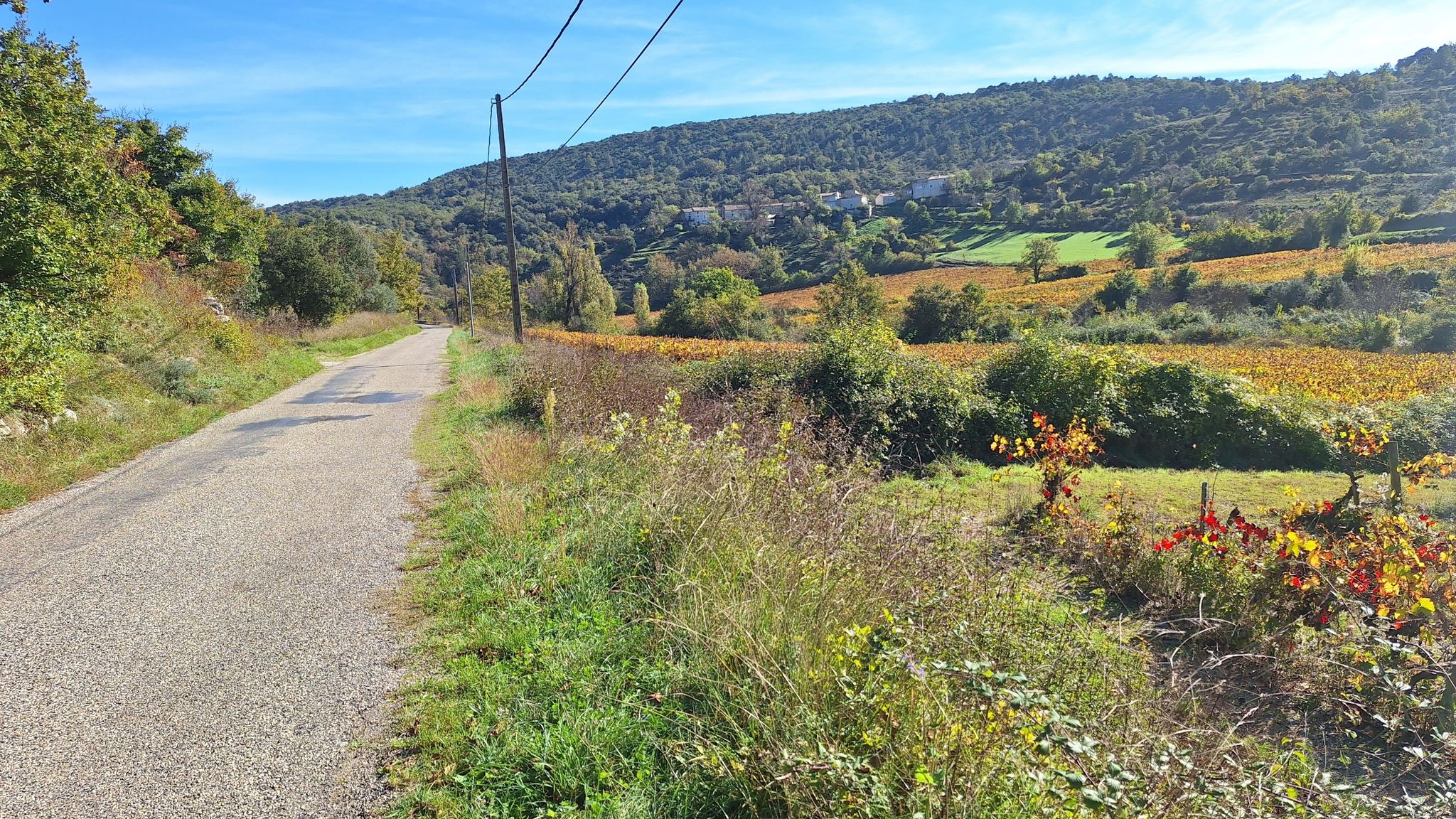 Route de St-Thomé.