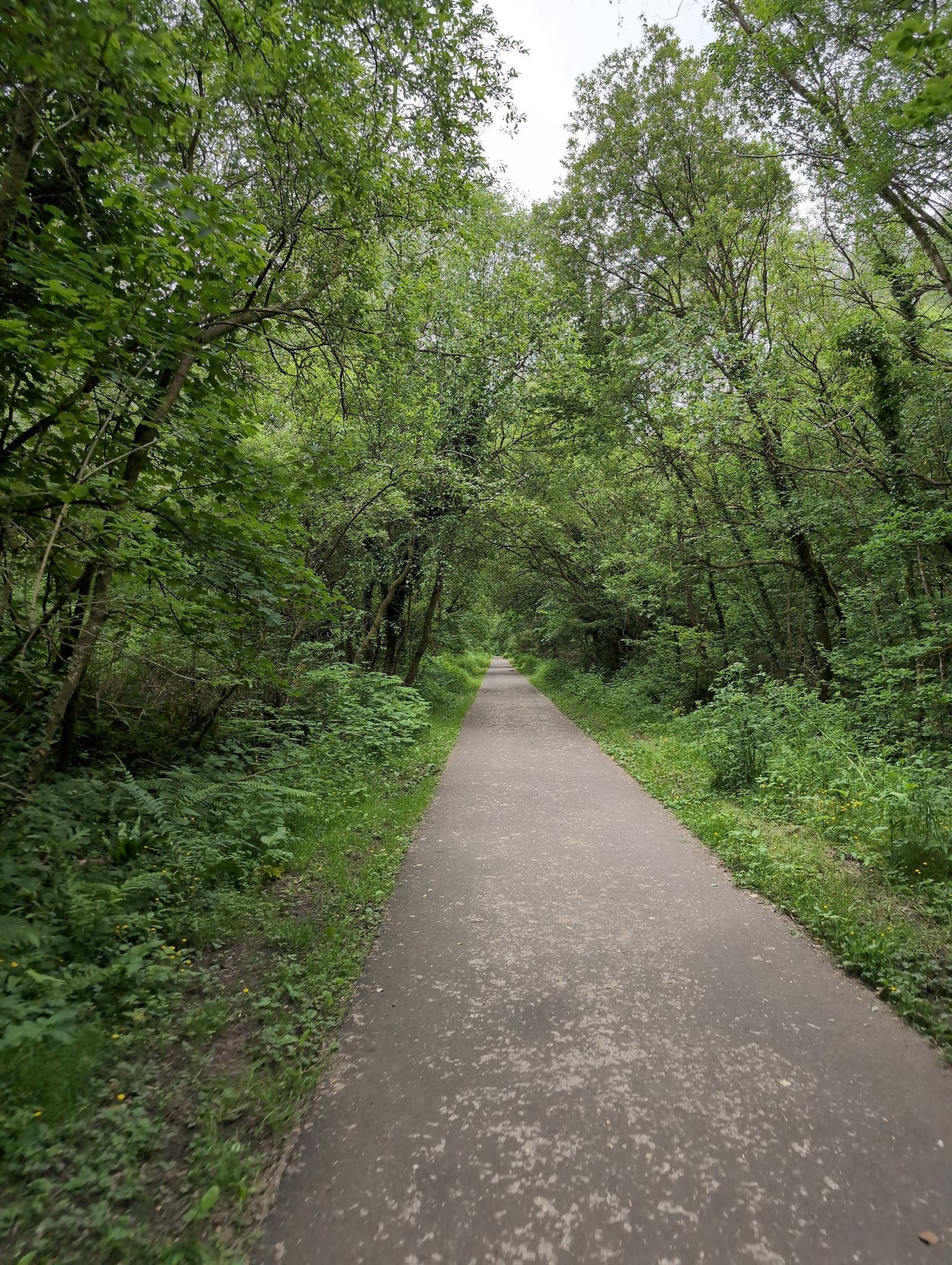 Cycle way