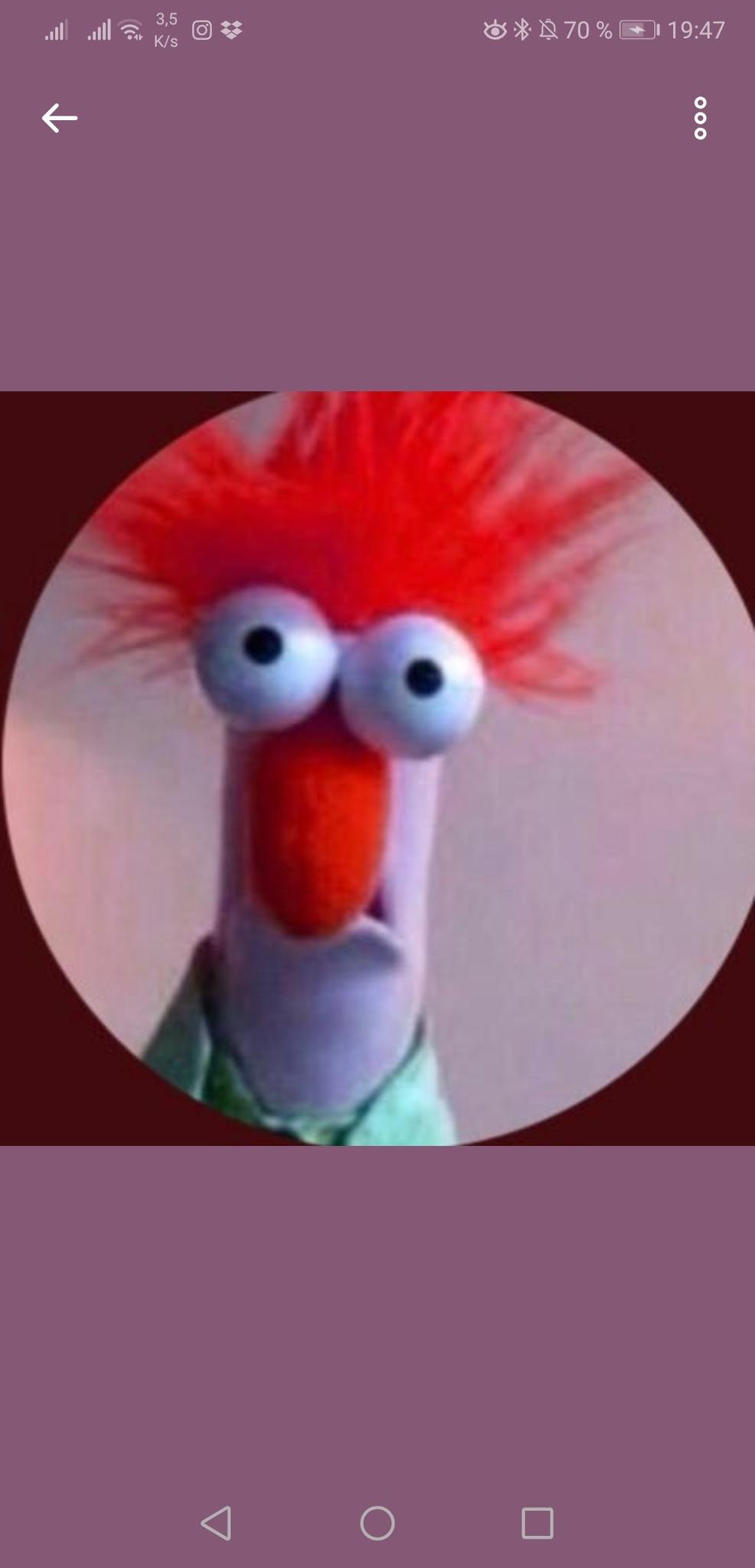 user avatar