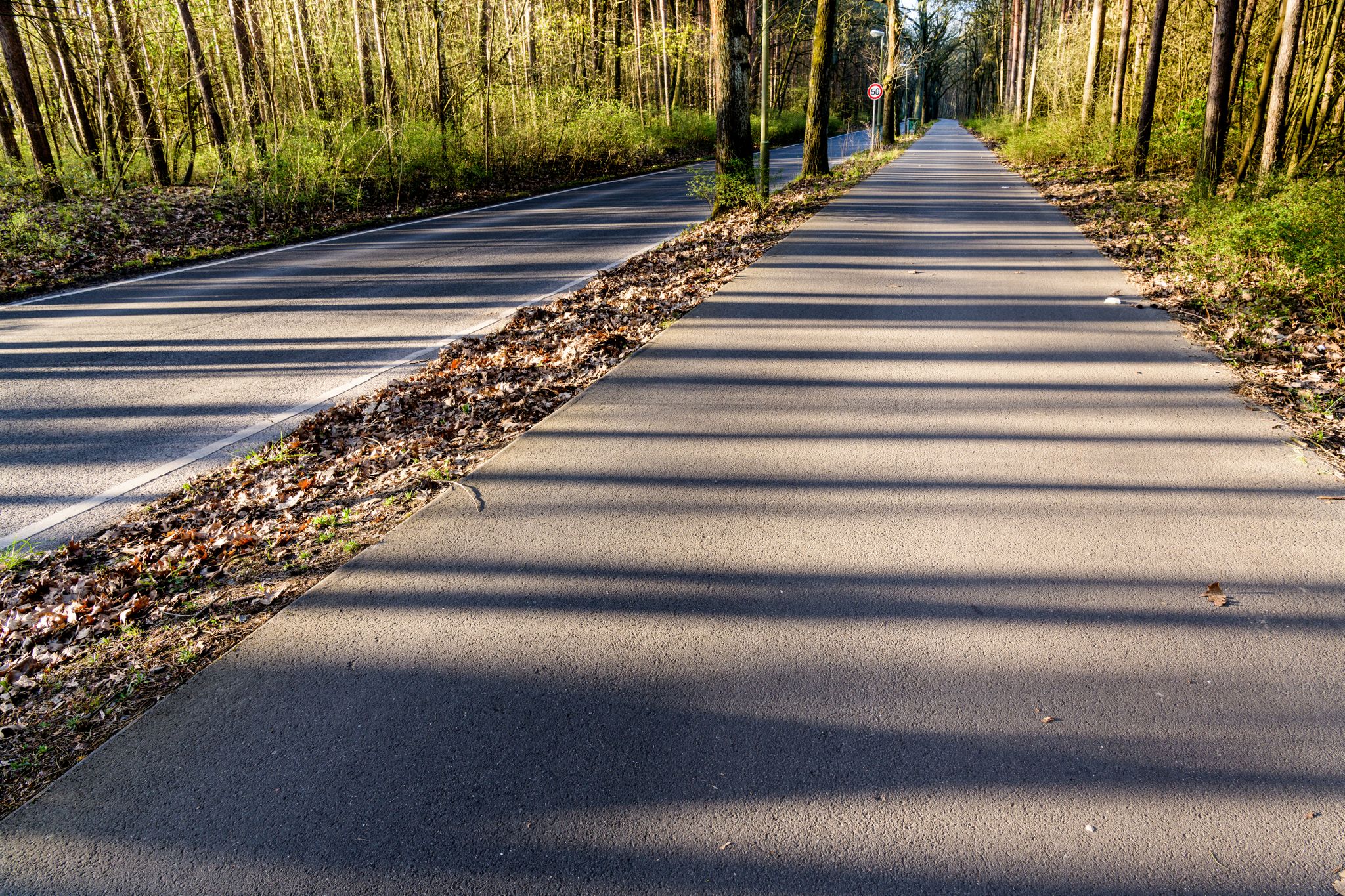 Alter Fischerweg, schnurgerade nach Süden in Richtung Rahnsdorf
