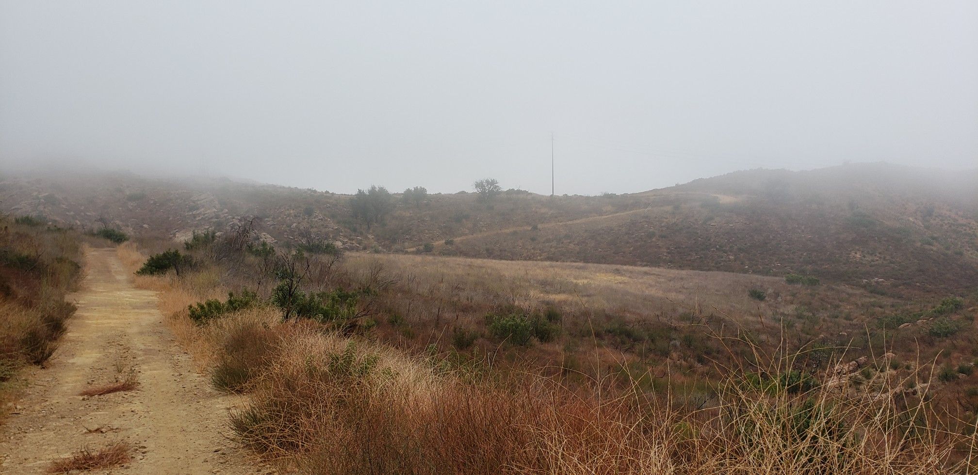 Dirt path through dry, rolling hills shrouded in thick fog. - Simi Peak via Rabbit Ridge Trail loop