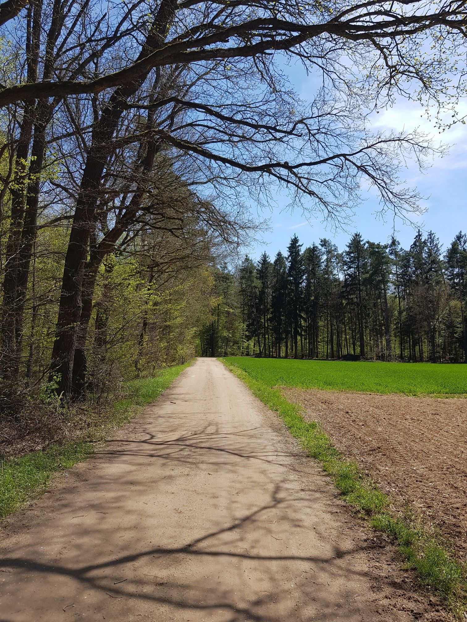 radweg