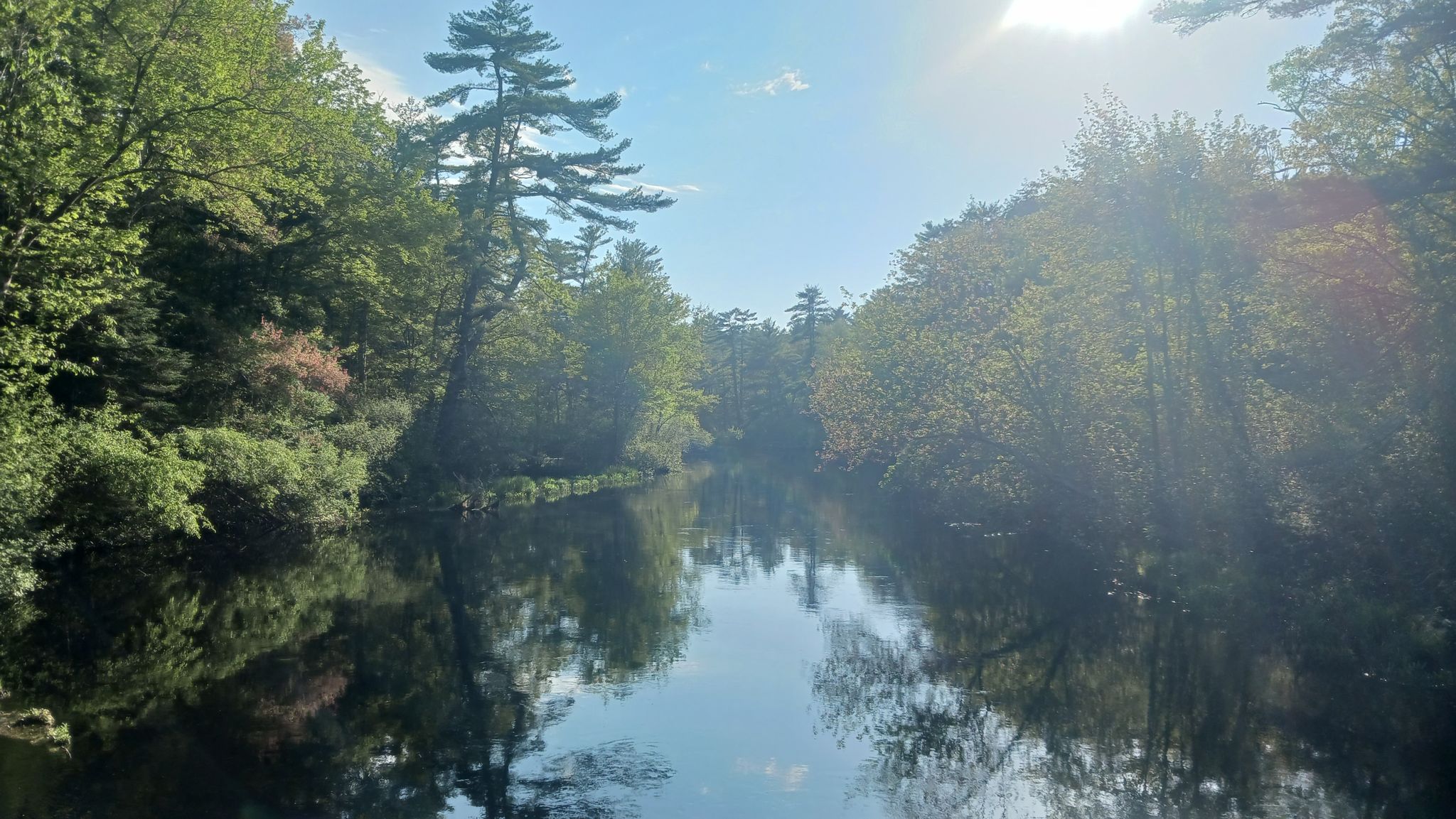 Sunny river flowing through a green forest, with bright sun glare. - Willowdale Meadow – Willowdale Mill Reservation loop from Appleton Farms