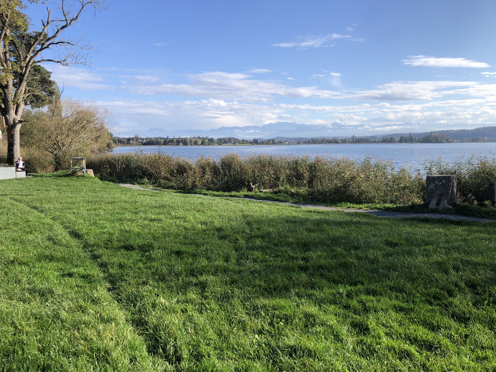 auf dem Veloweg am NO-Ufer