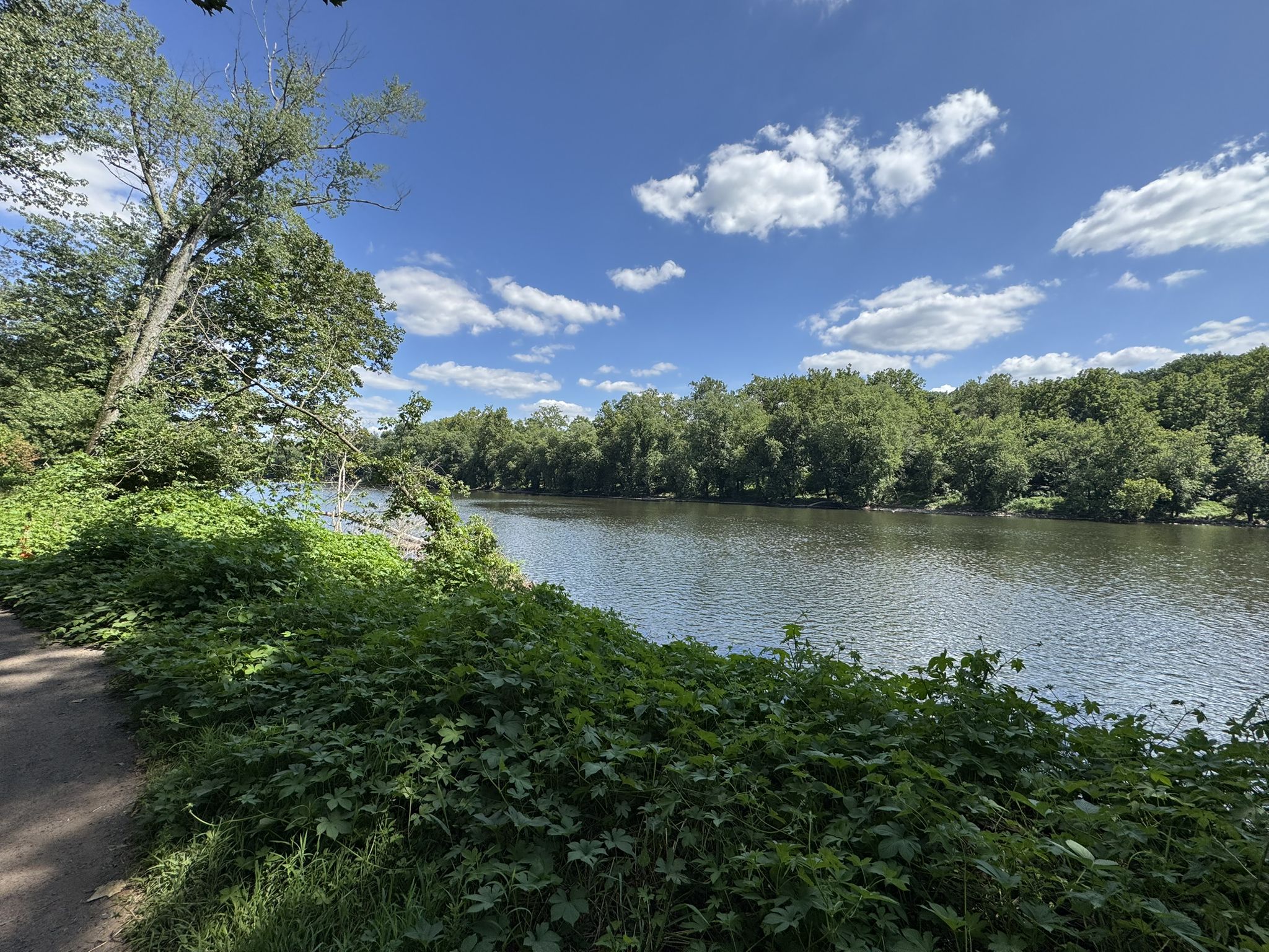 A river flows past dense green foliage and a dirt path under a bright sky. - Commissary and Fatlands Trail Loop