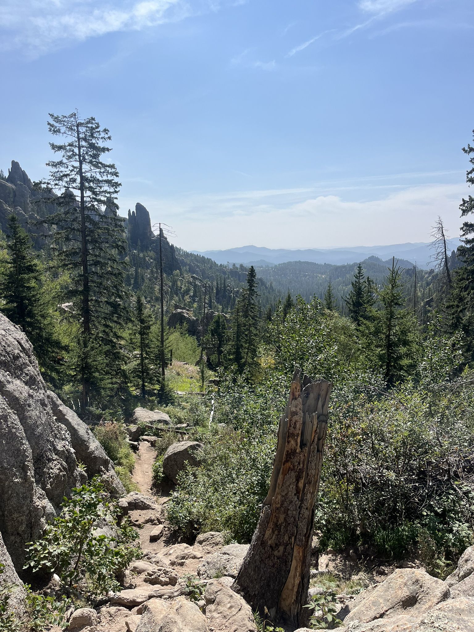 Scenic overlook of a lush green valley and distant hazy mountains under a clear blue sky. - Cathedral Spires Trail run