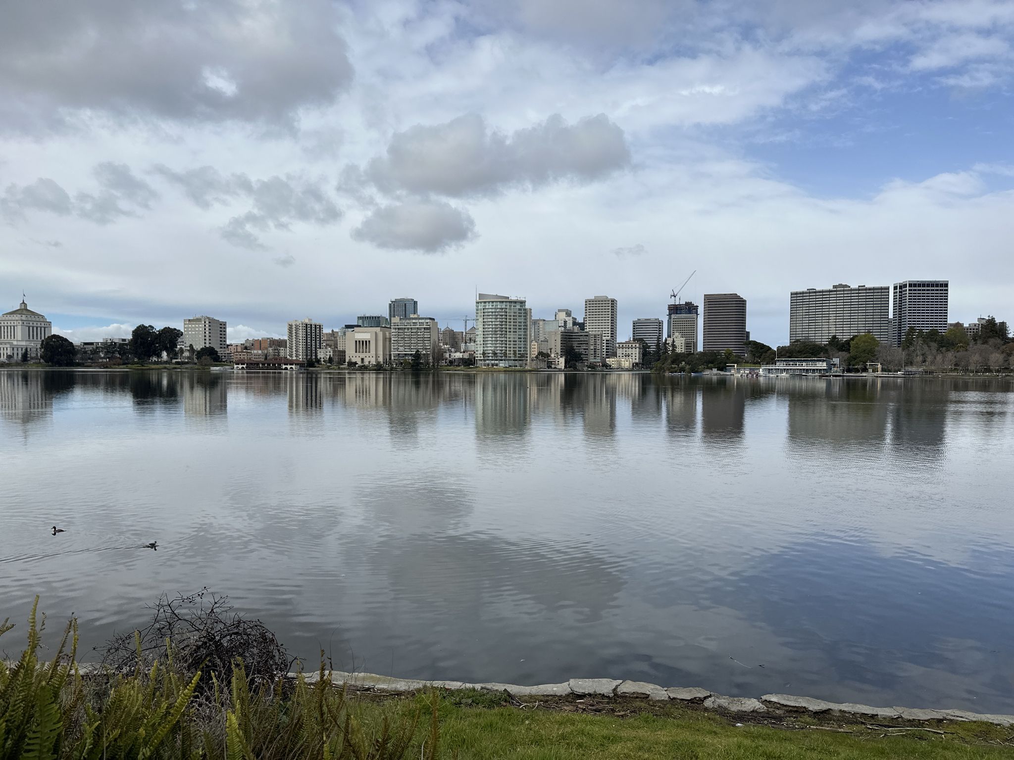 A city skyline reflected in calm water under a cloudy sky. - Lakeshore Park – Camron-Stanford House Museum loop from Mills College at Northeastern University