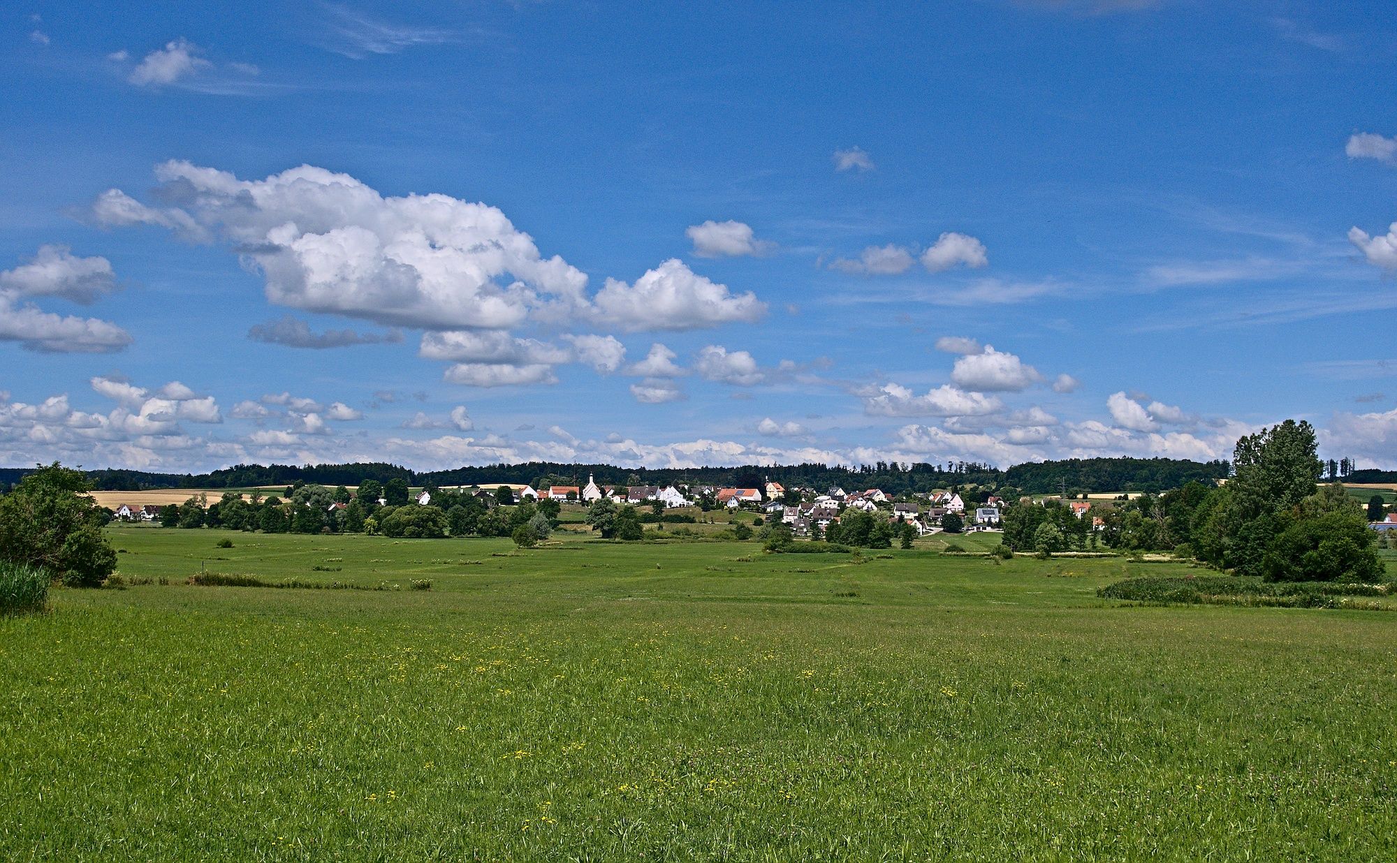 Blick auf die Schmutterauen und nach Schlipsheim