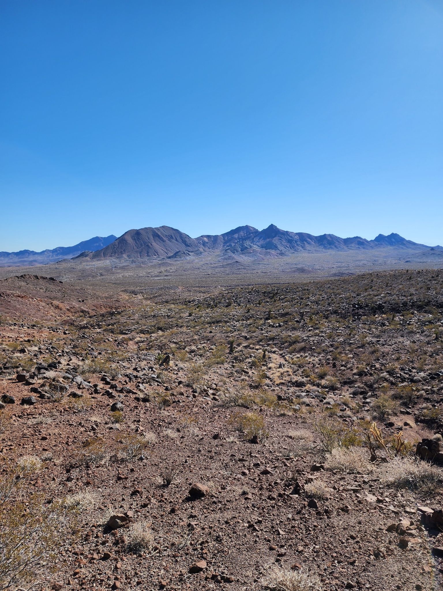 Vast rocky desert landscape under a clear blue sky with distant mountains. - 601 Trail to 701 Trail Loop